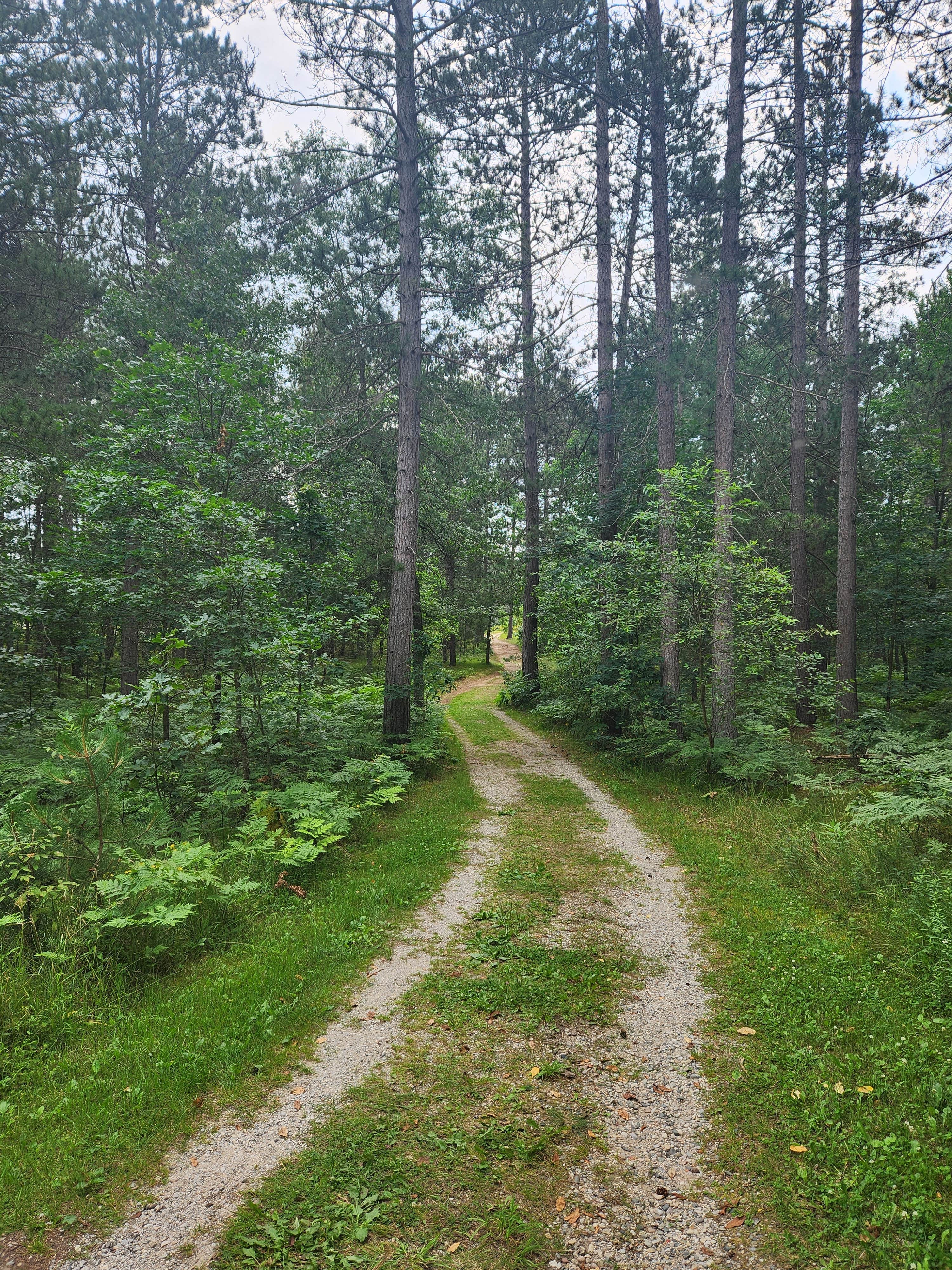 Camper submitted image from Canoe Harbor State Forest Campground & Canoe Camp - 4