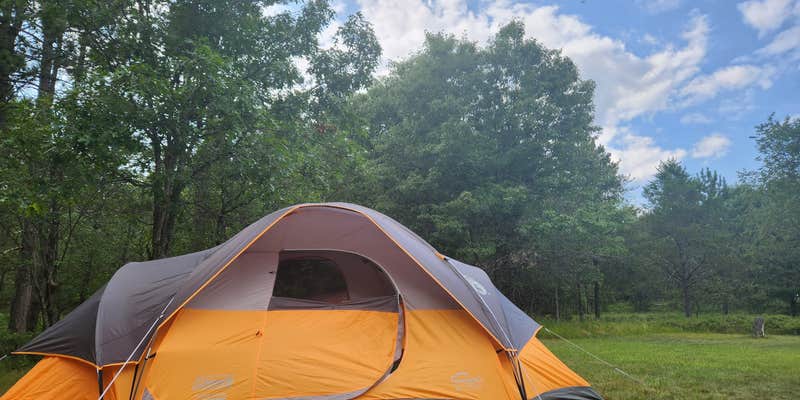 Camper submitted image from Canoe Harbor State Forest Campground & Canoe Camp