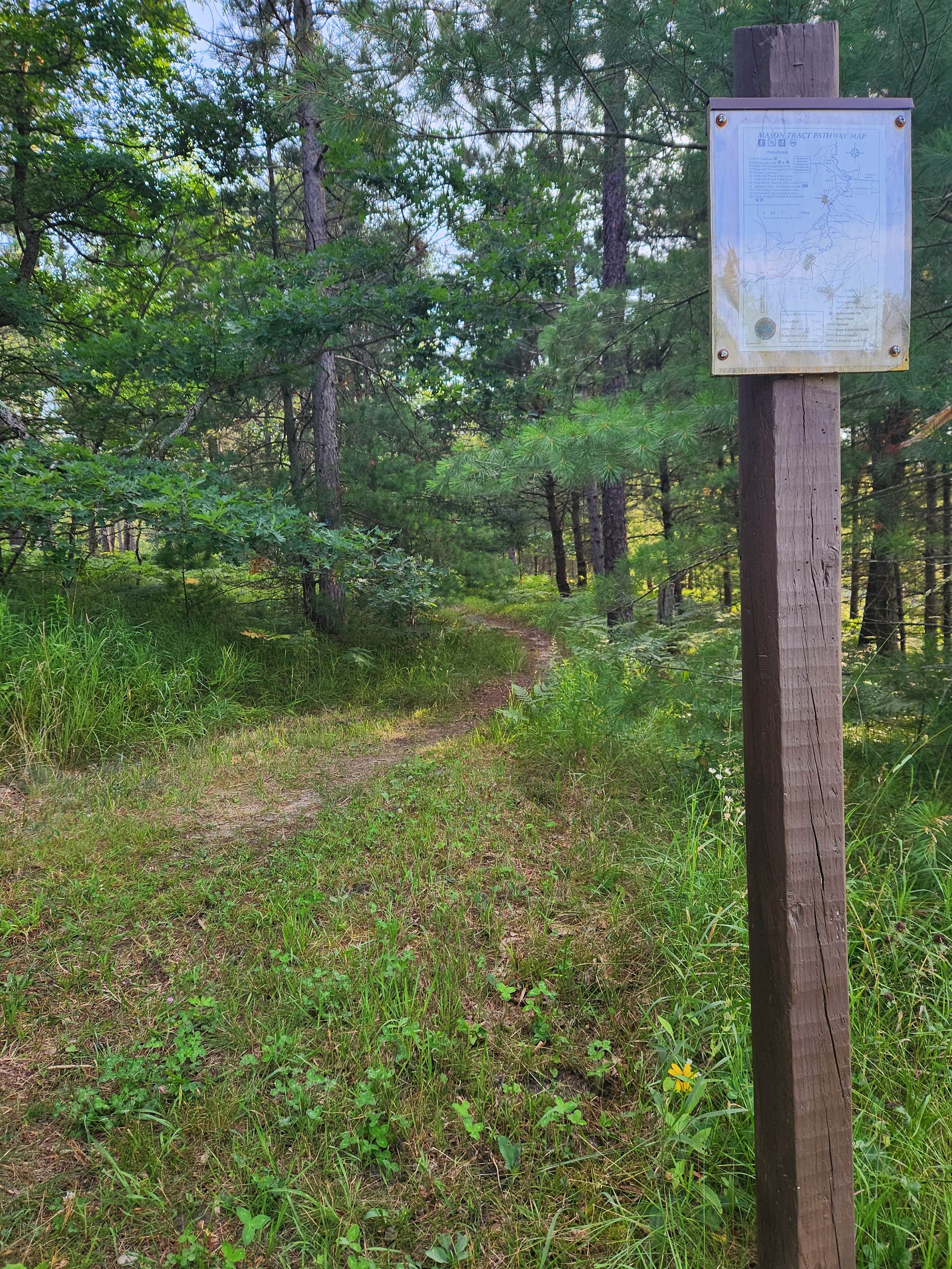 Camper-submitted photo at Canoe Harbor State Forest Campground & Canoe Camp near Grayling, MI