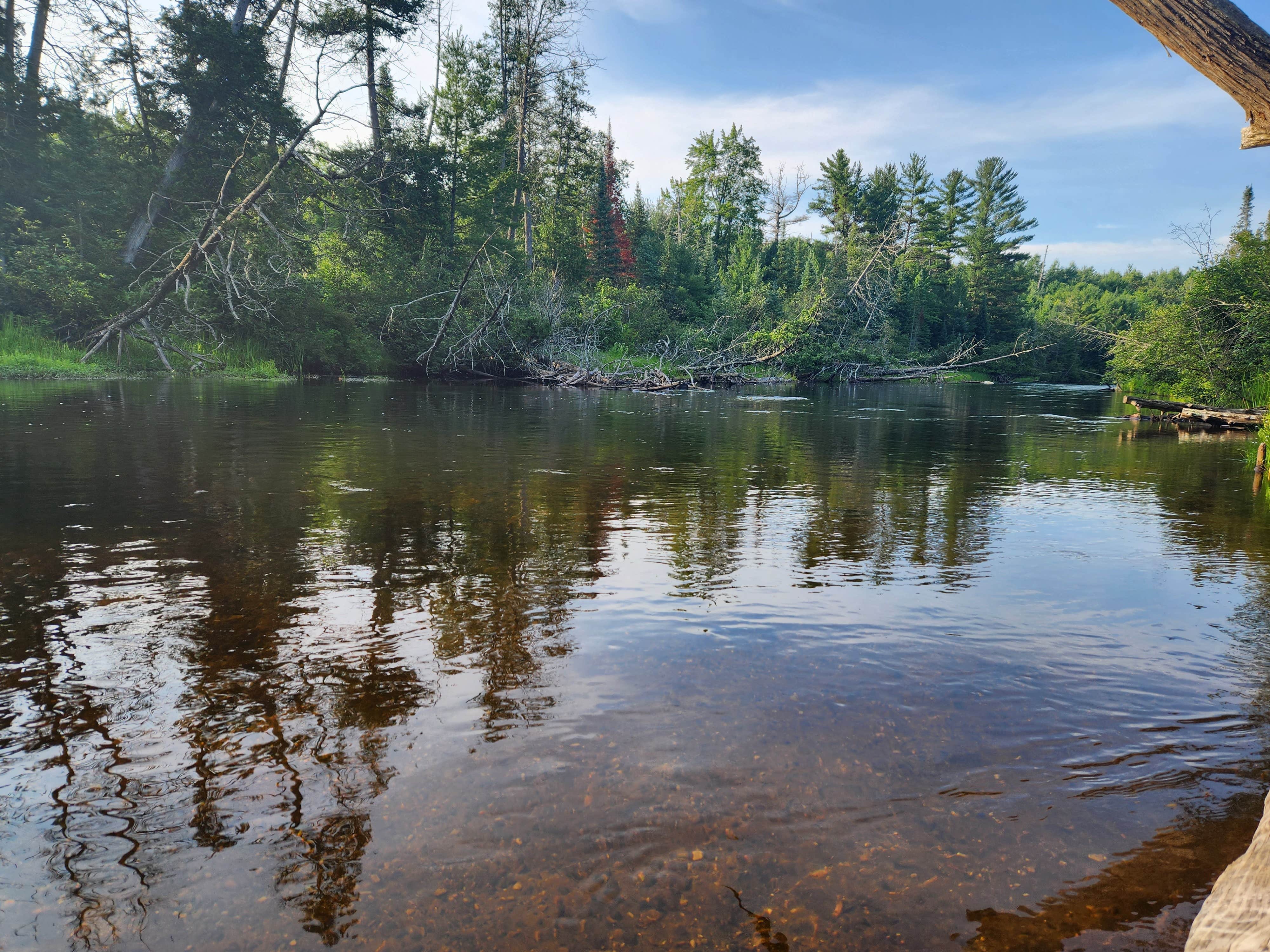 Camper-submitted photo at Canoe Harbor State Forest Campground & Canoe Camp near Grayling, MI
