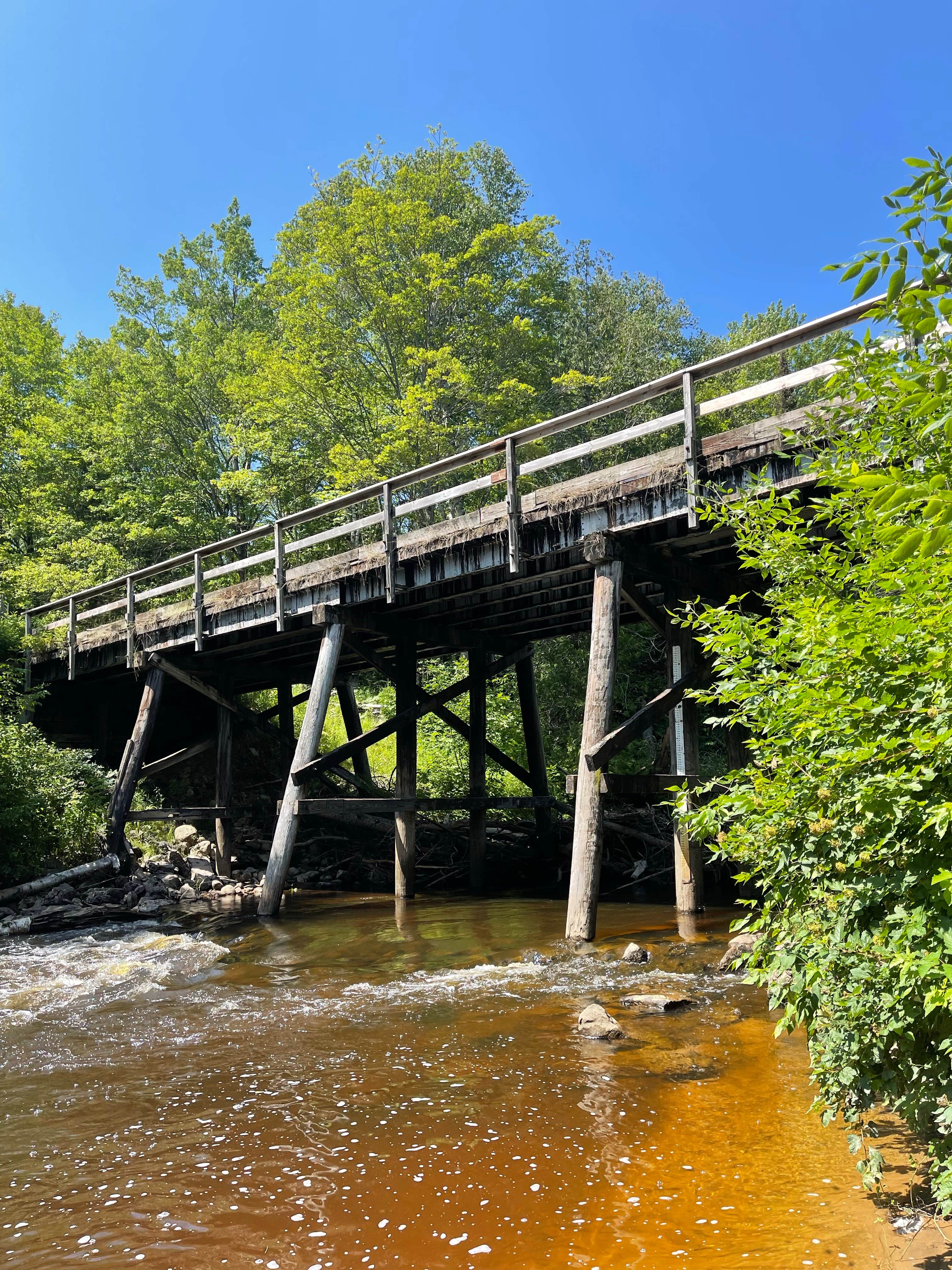 Camper-submitted photo at Carp River Campground near Moran, MI