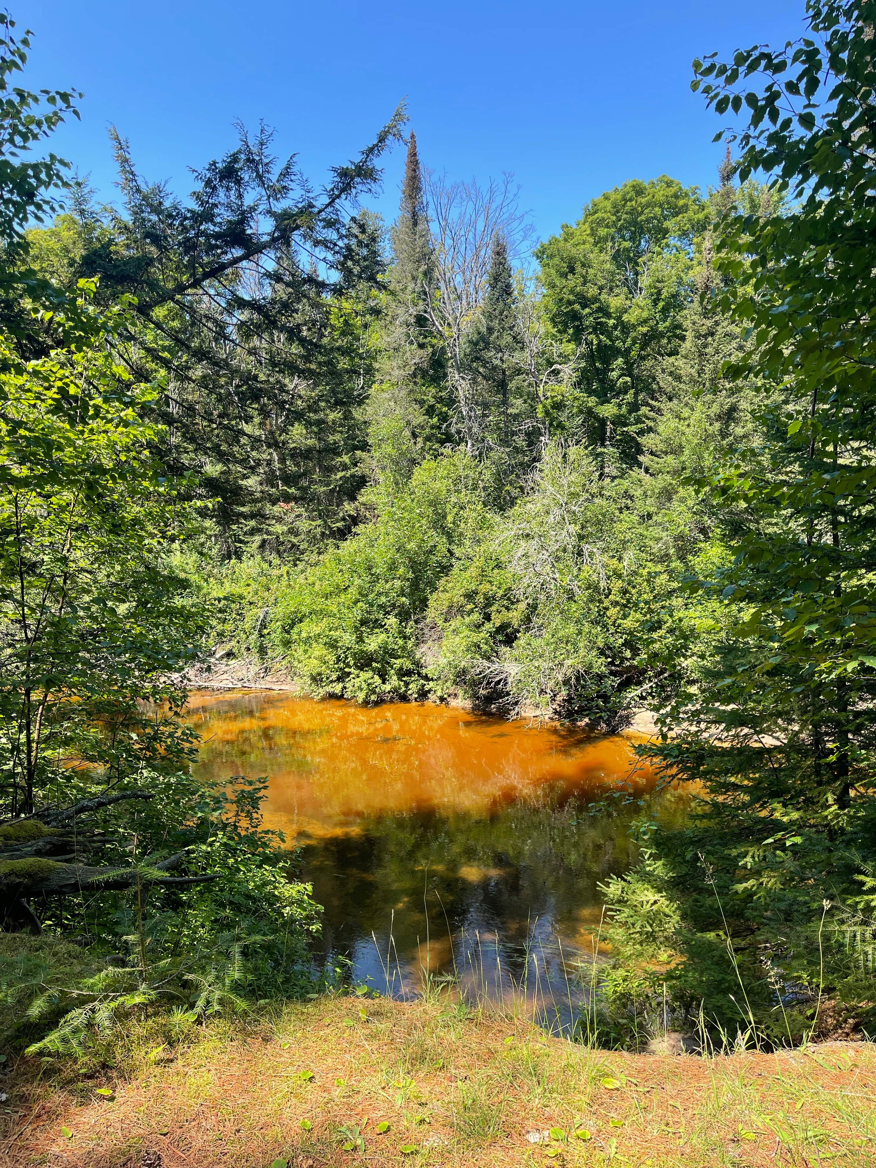 Camper-submitted photo at Carp River Campground near Moran, MI