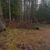 Review photo of Carp River Campground by Tiffany V., May 26, 2026