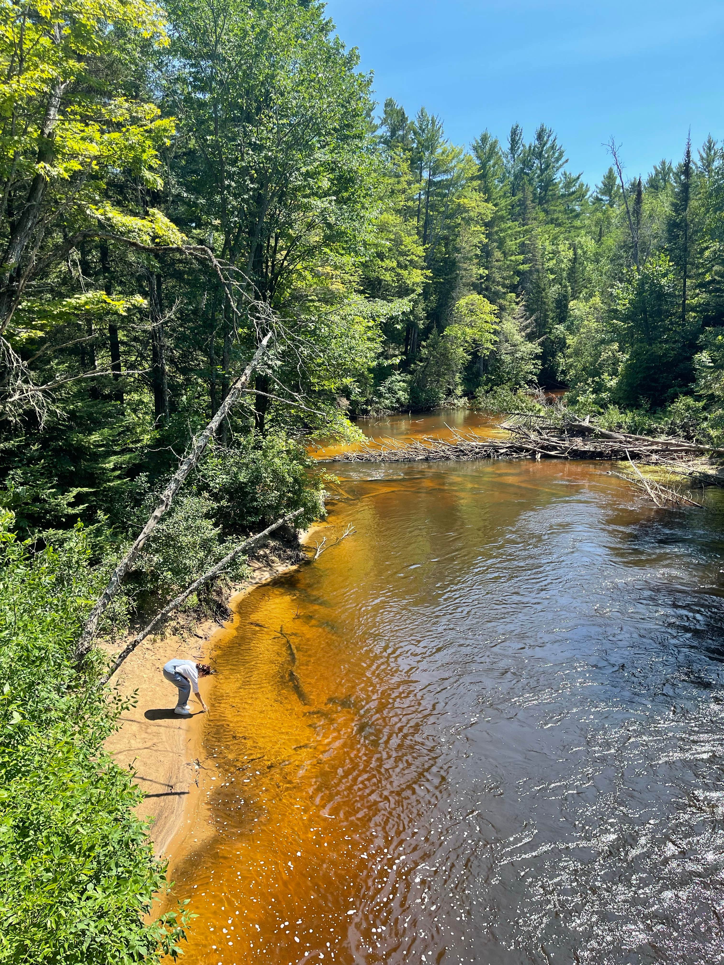 Camper-submitted photo at Carp River Campground near Moran, MI