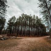 Review photo of Carrieville State Forest Campground by Jodi W., December 28, 2024