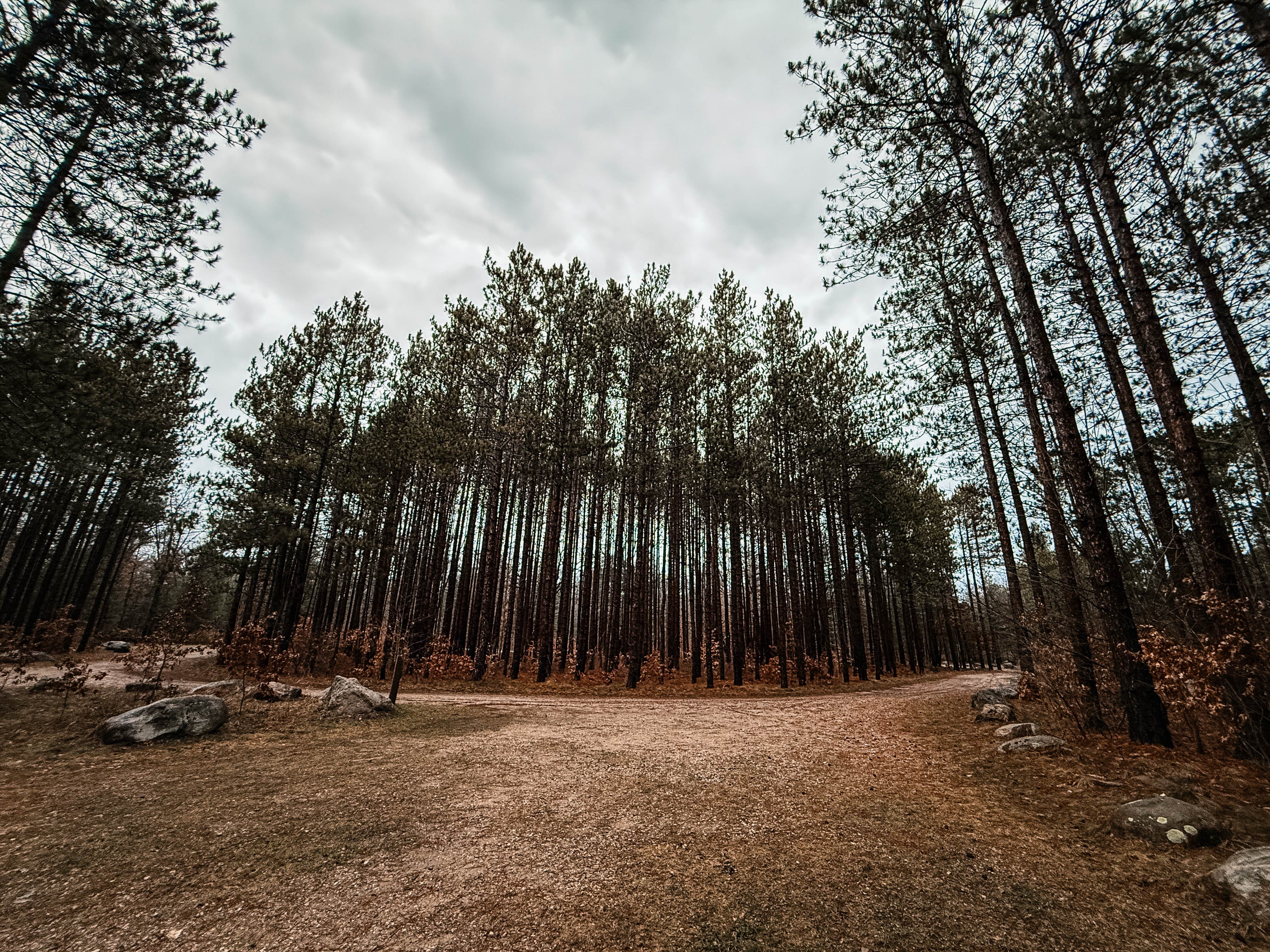 Camper submitted image from Carrieville State Forest Campground - 3