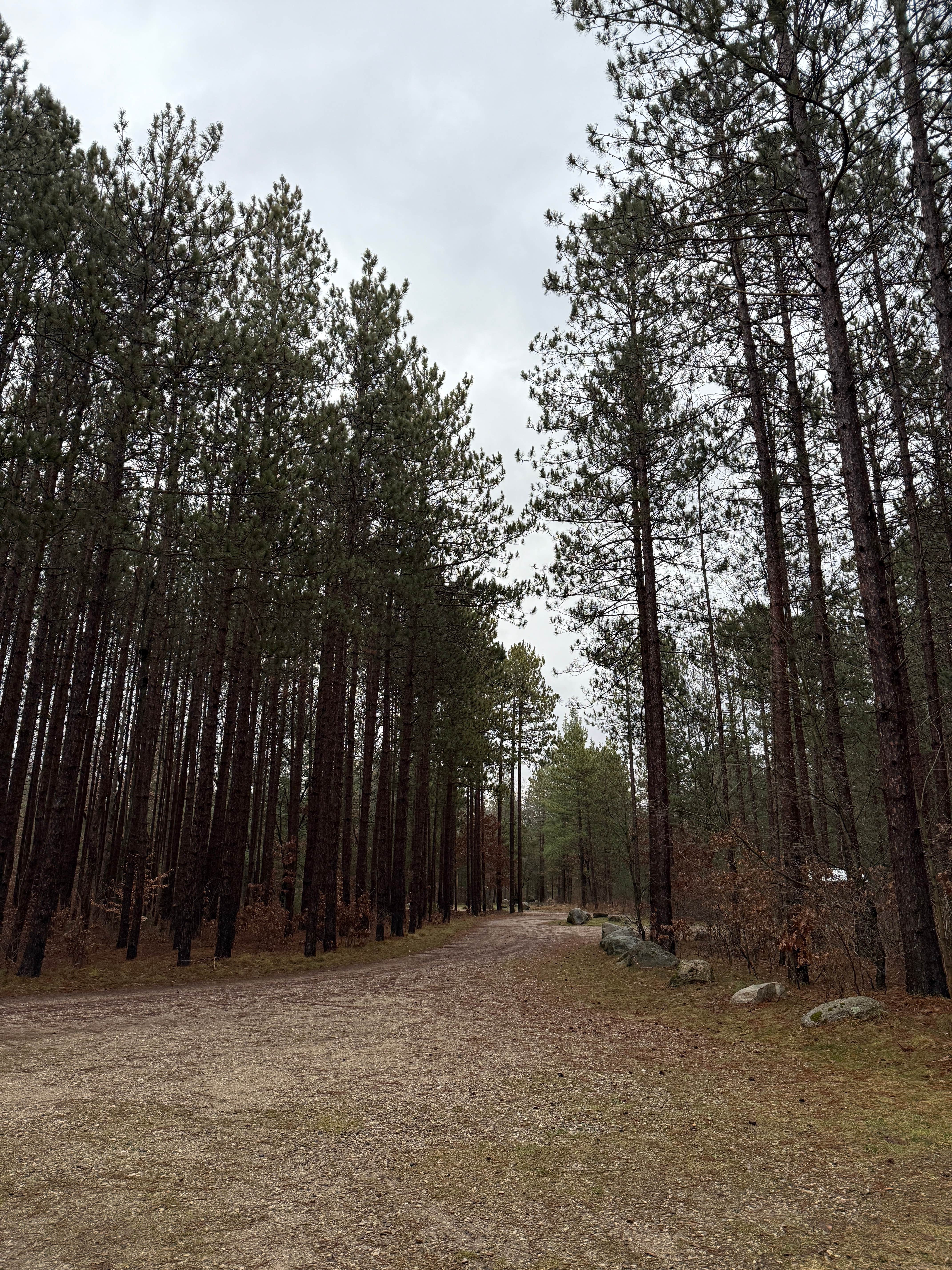 Camper-submitted photo at Carrieville State Forest Campground near Luther, MI