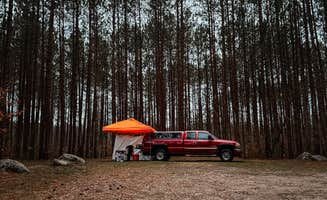 Jodi W.'s photo at Carrieville State Forest Campground near Luther, MI