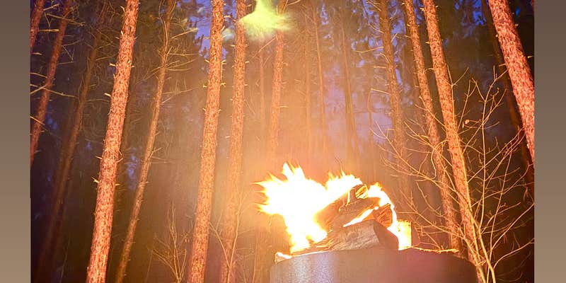 Camper submitted image from Carrieville State Forest Campground