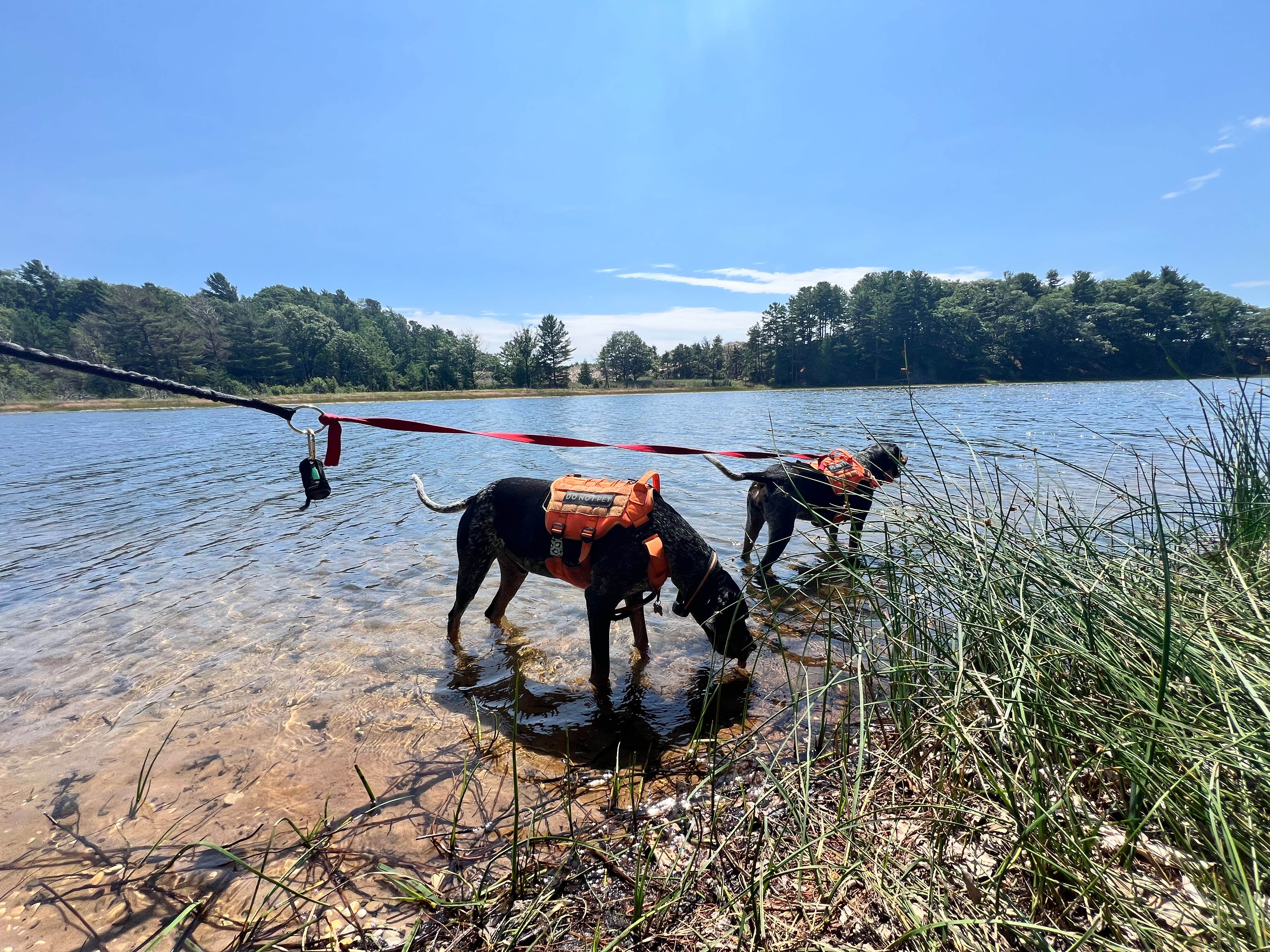 Camper-submitted photo at Cartier Park Campground near Custer, MI