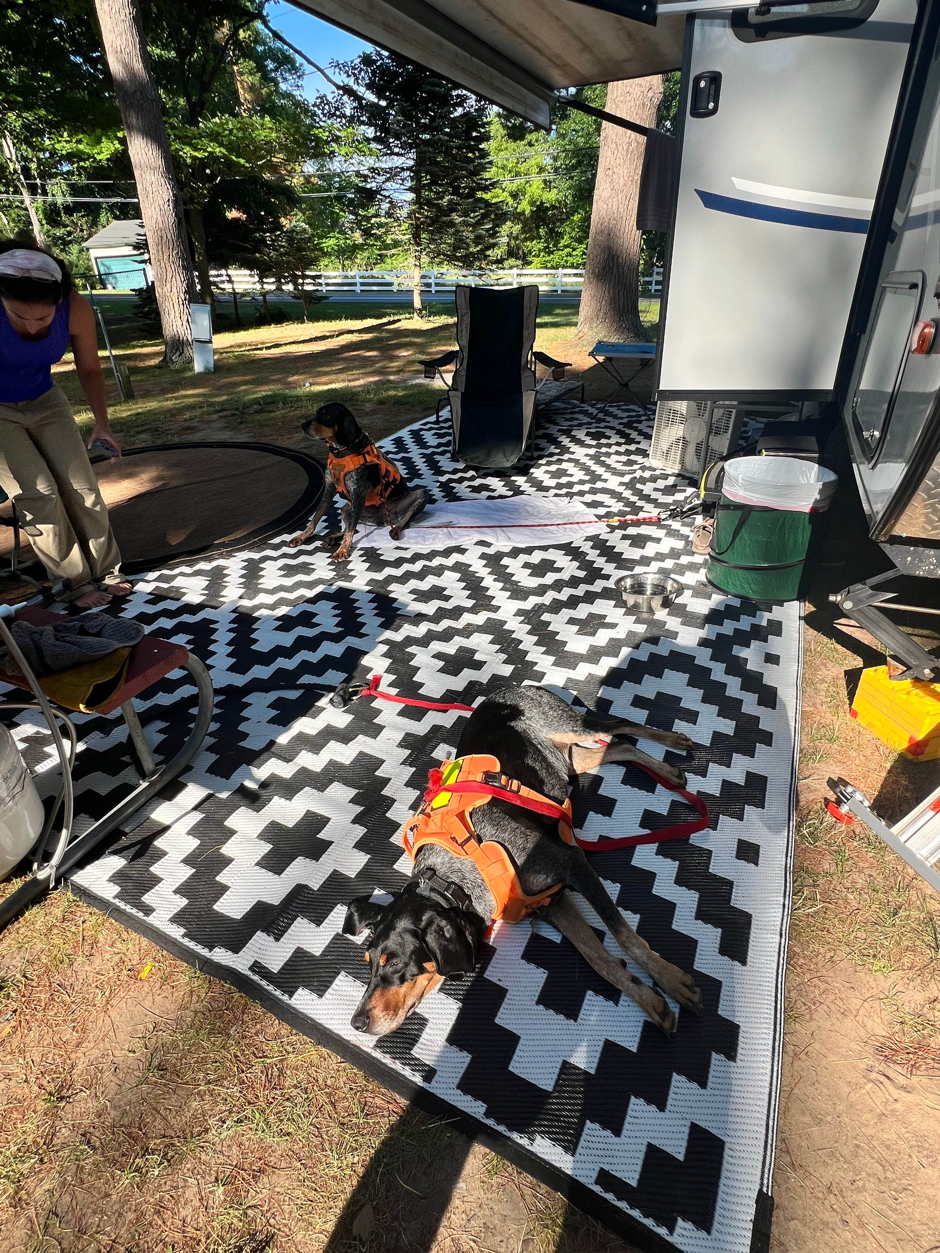 Camper-submitted photo at Cartier Park Campground near Custer, MI