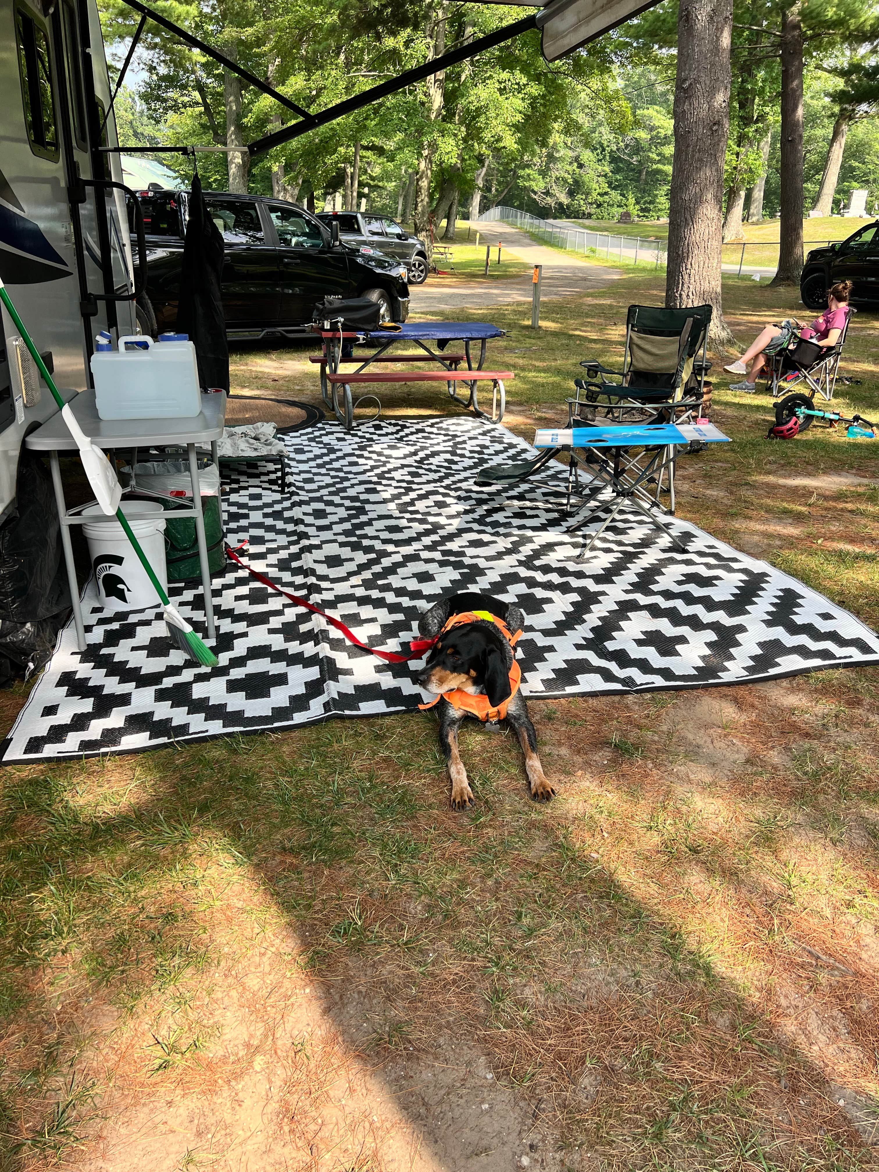 Gerard E.'s photo of camping with pets at Cartier Park Campground near Free Soil, MI