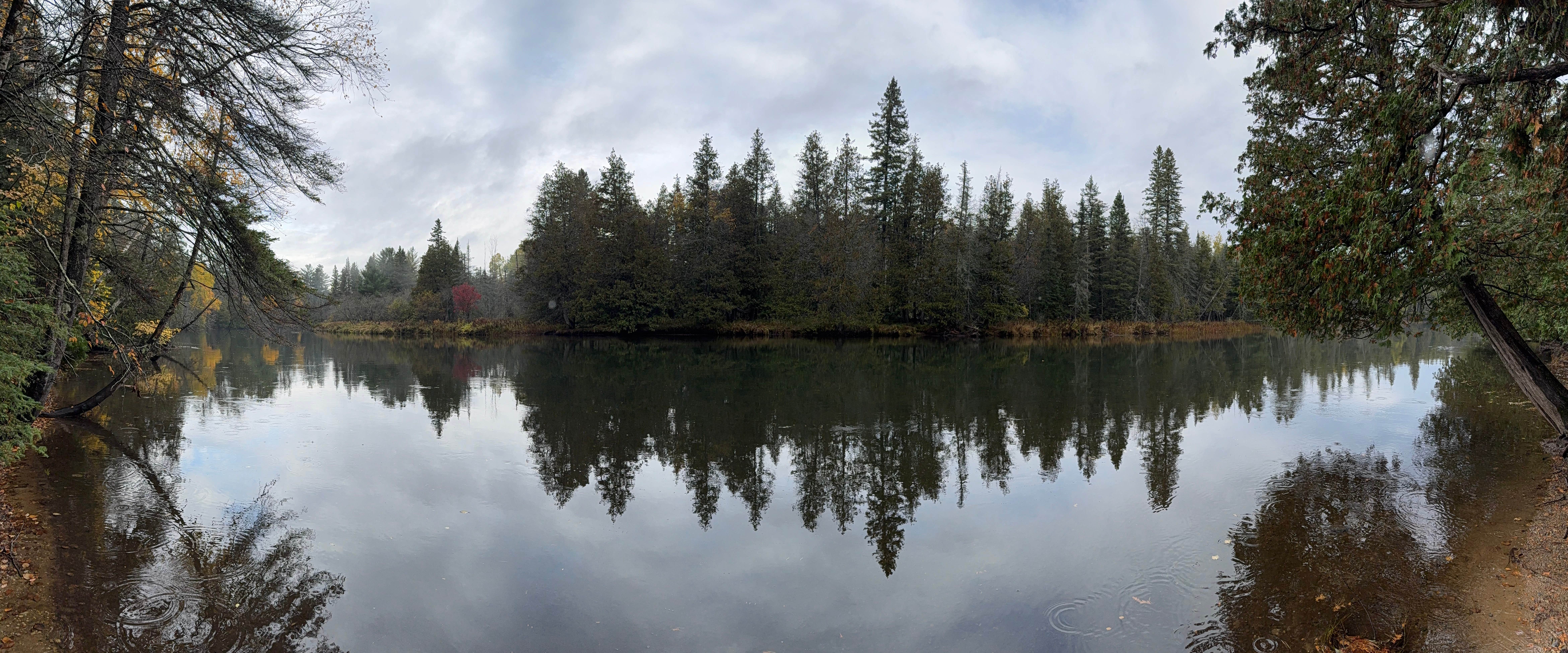 Camper submitted image from Cathedral Pines Campground - 2