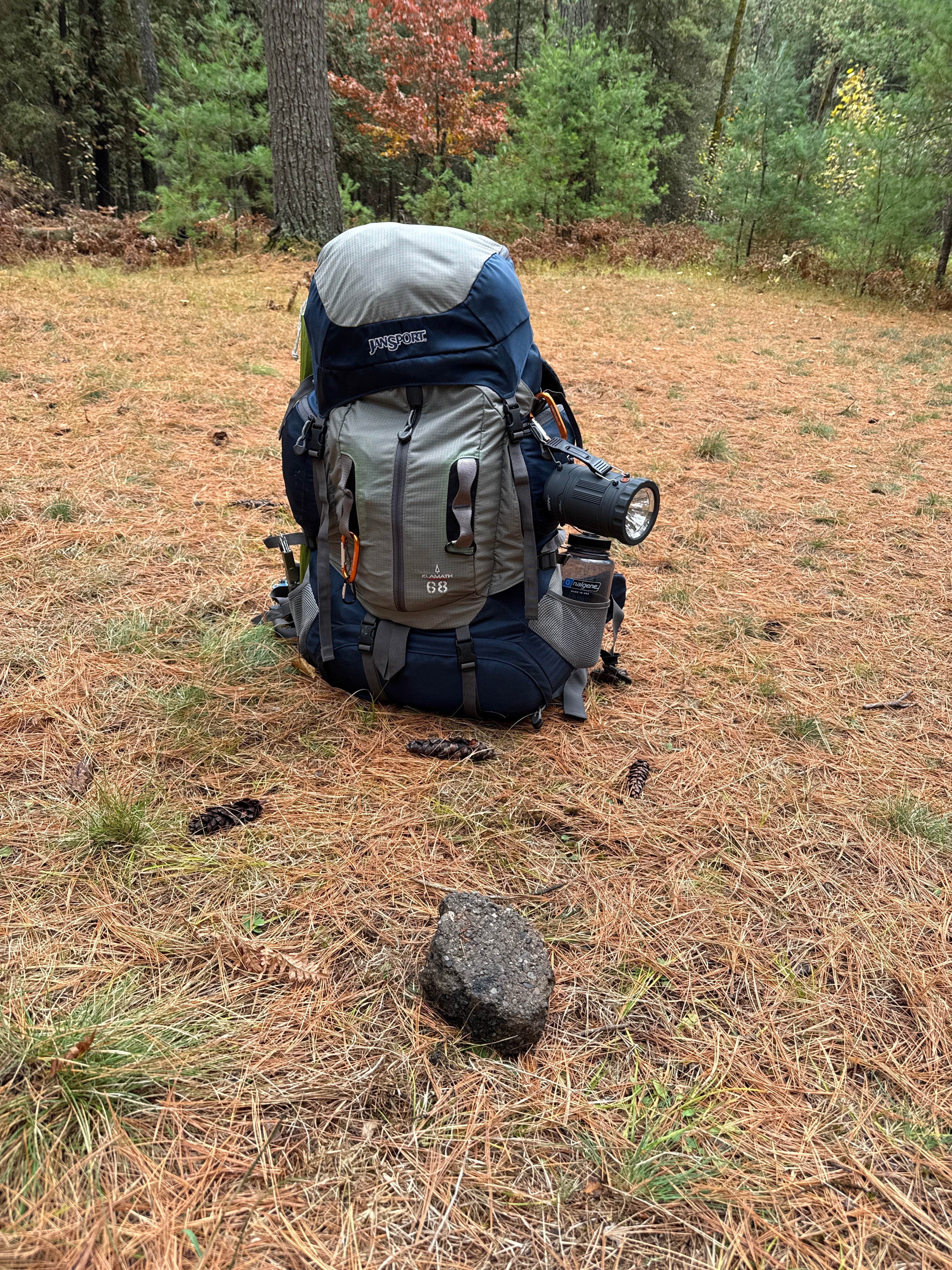 Camper submitted image from Cathedral Pines Campground - 4