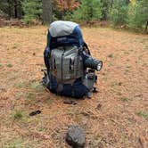 Review photo of Cathedral Pines Campground by Peyton , October 19, 2025