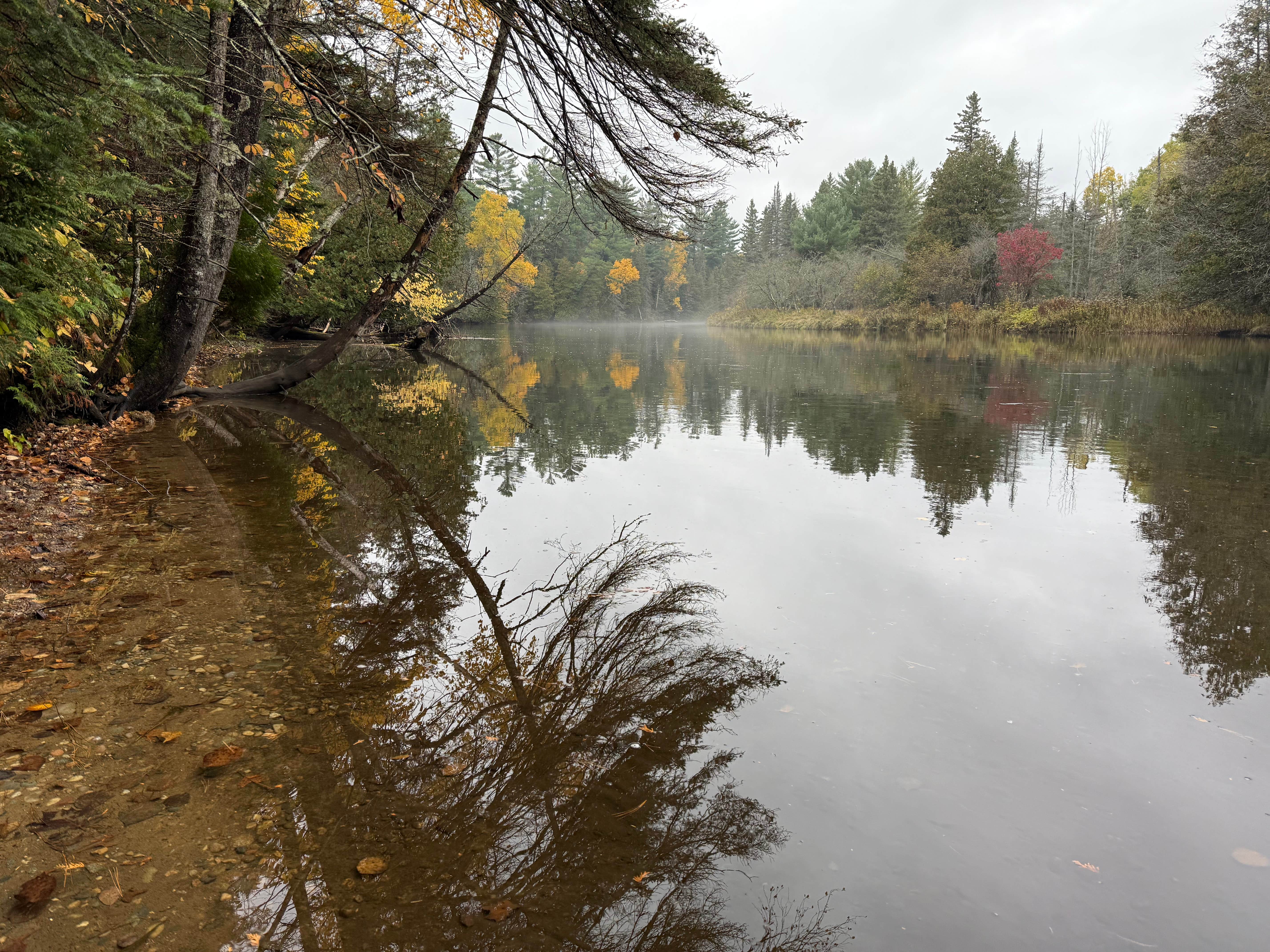 Camper-submitted photo at Cathedral Pines Campground near Black River, MI