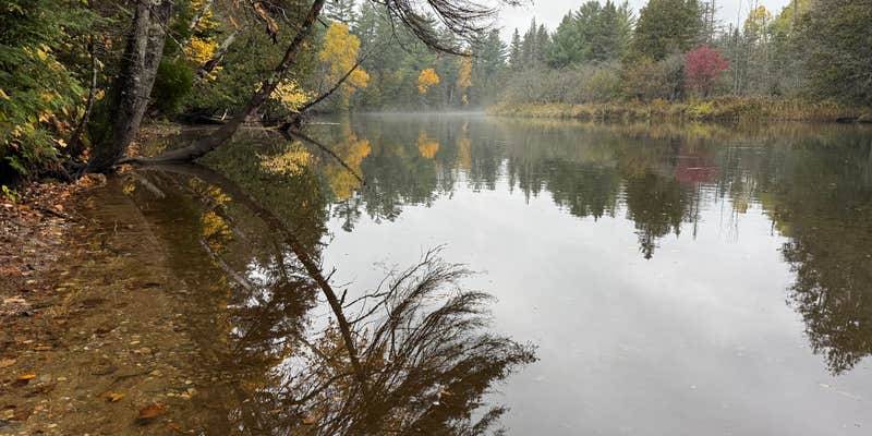 Camper submitted image from Cathedral Pines Campground