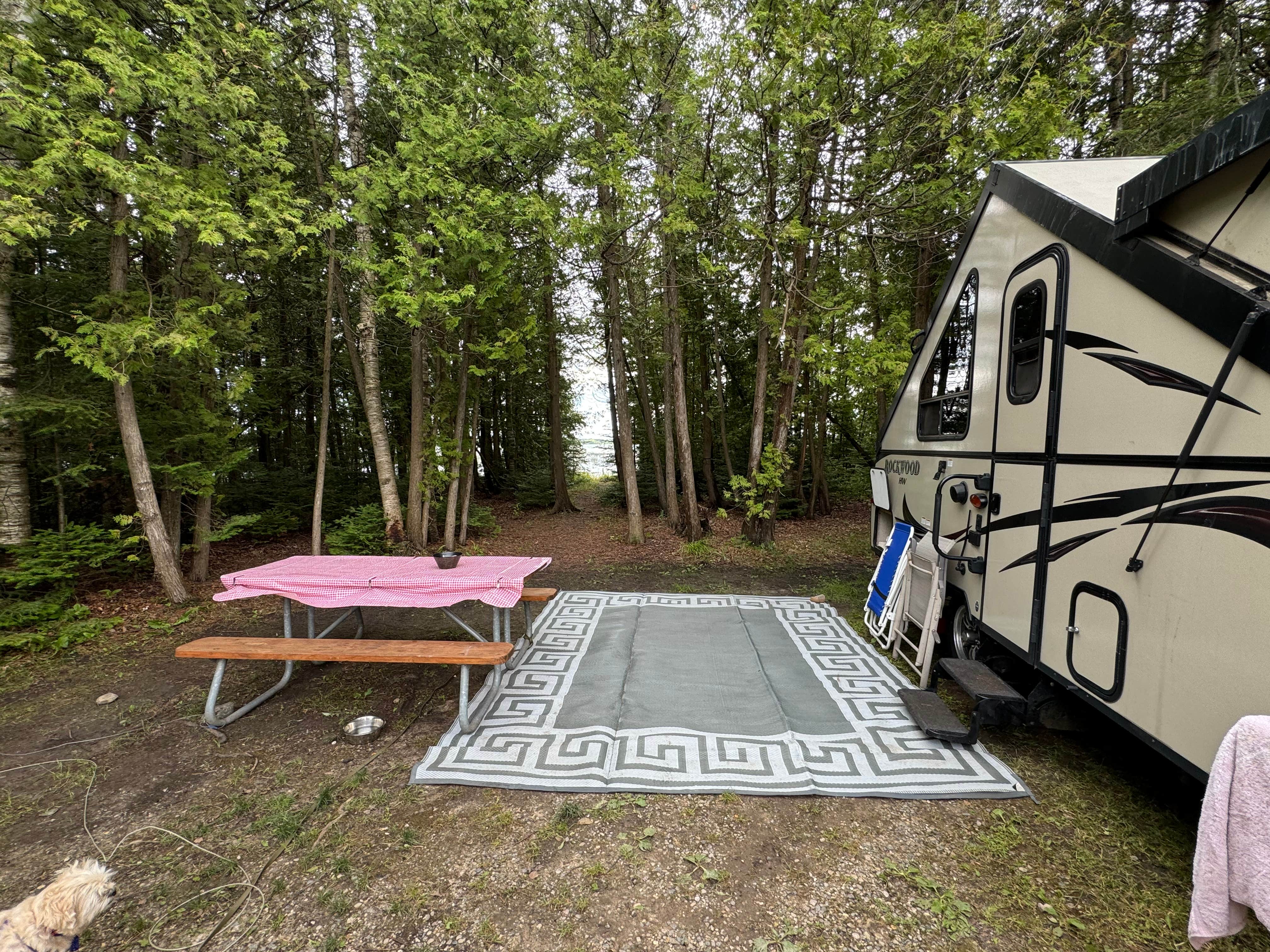 Camper-submitted photo at Cheboygan State Park Campground near Millersburg, MI