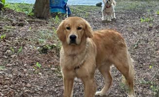 Martha L.'s photo of camping with pets at Cheboygan State Park Campground near Rogers City, MI