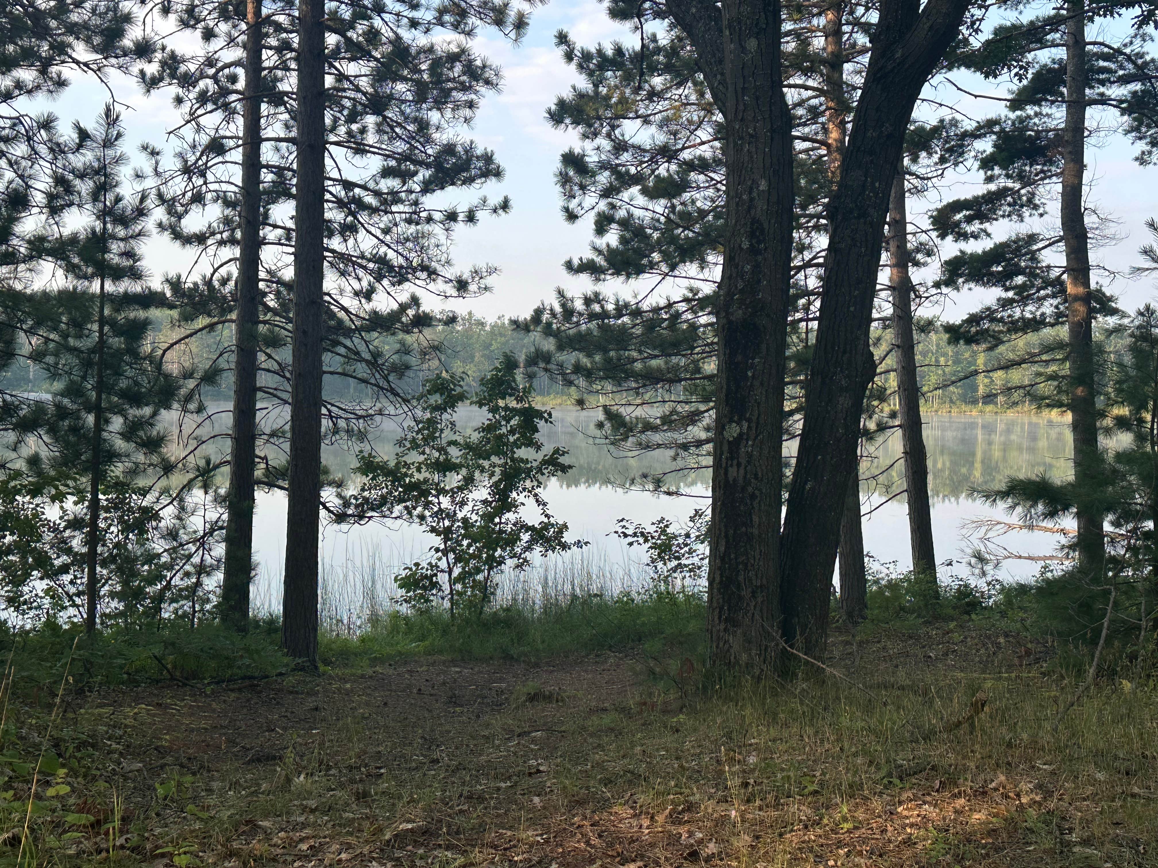 Camper-submitted photo at Jackson Lake State Forest Campground near Atlanta, MI