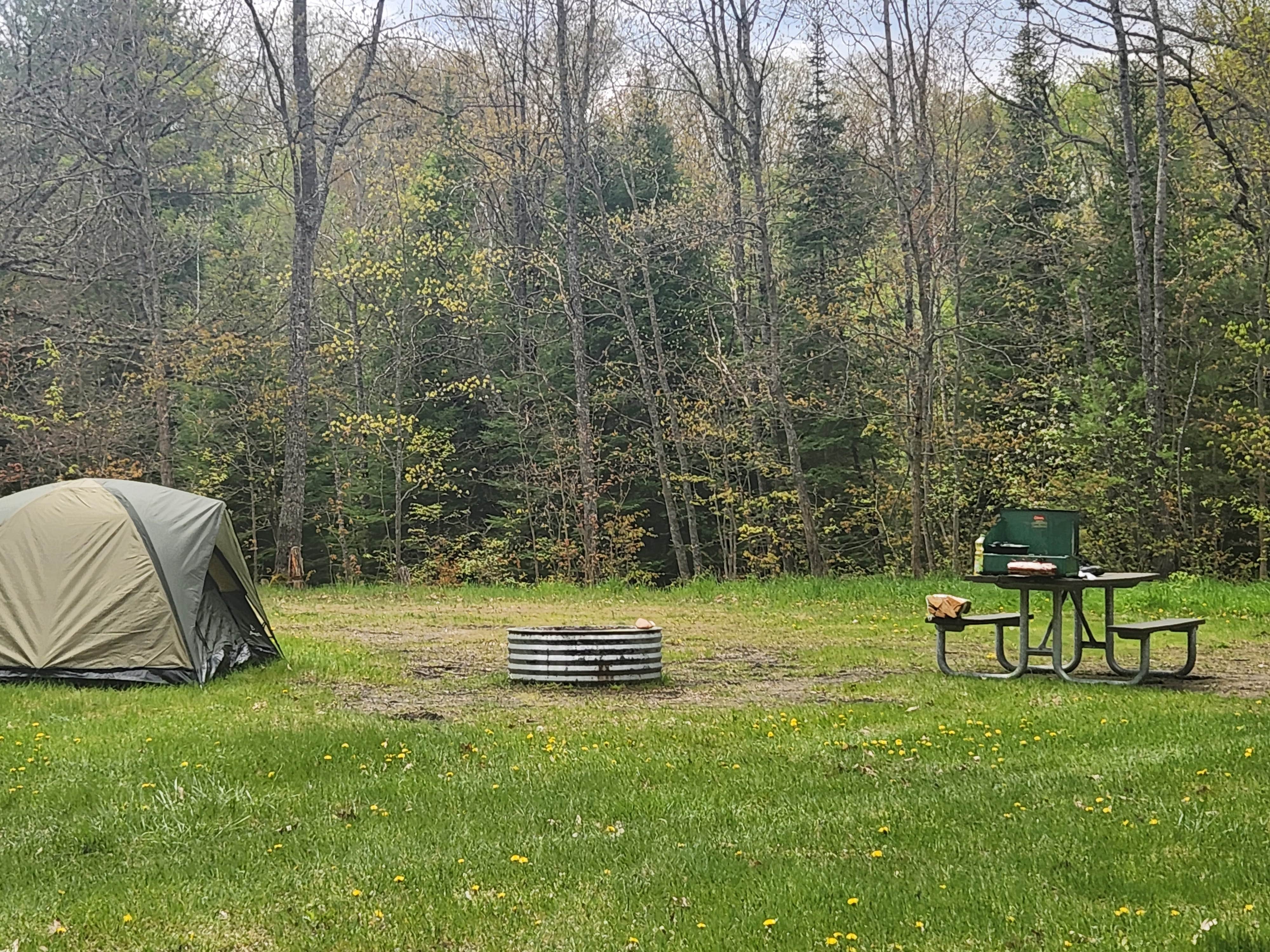 Camper-submitted photo at Jackson Lake State Forest Campground near Atlanta, MI
