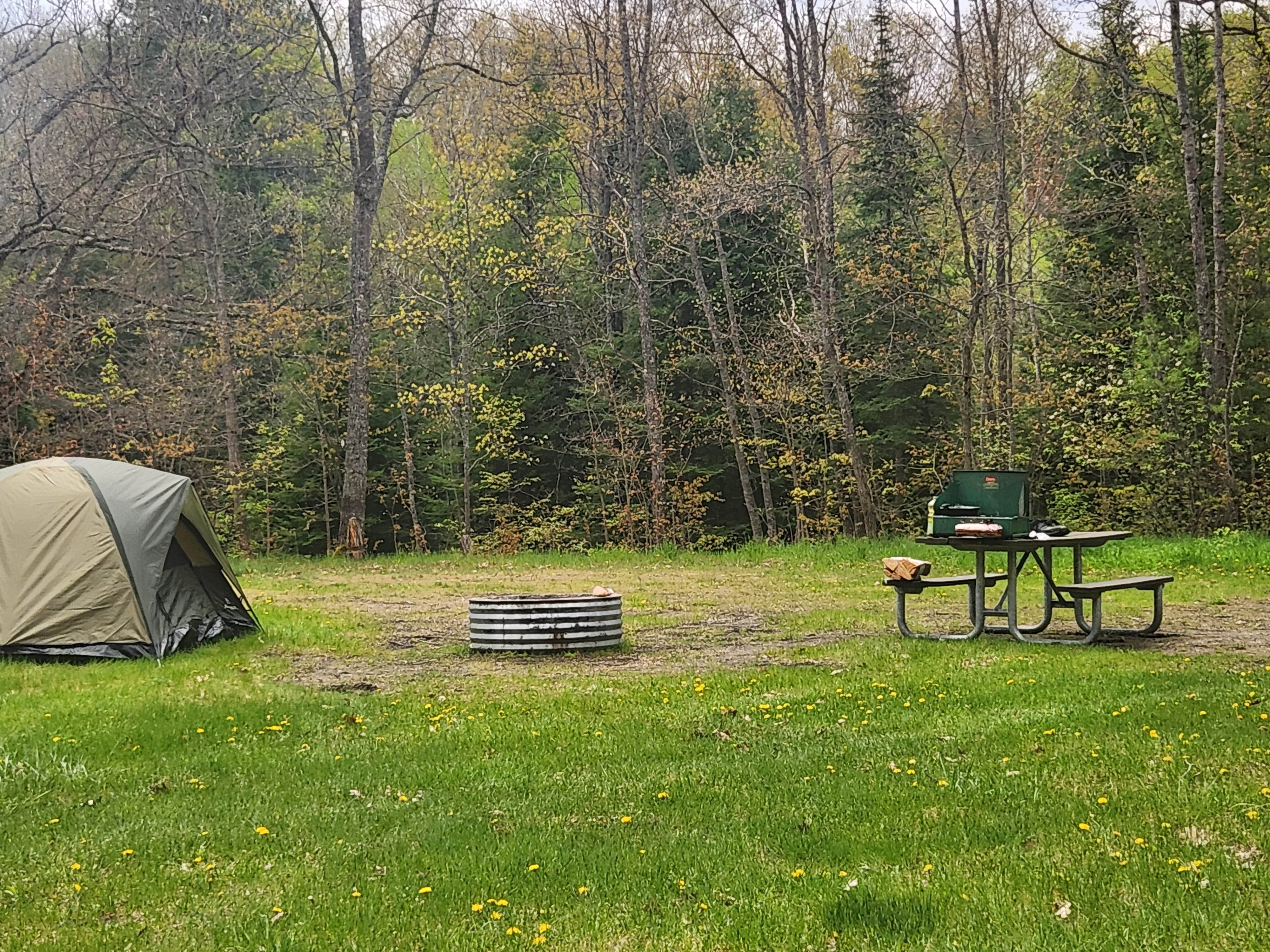 Camping near Emerick Park Campground: Jackson Lake State Forest Campground, Atlanta, Michigan