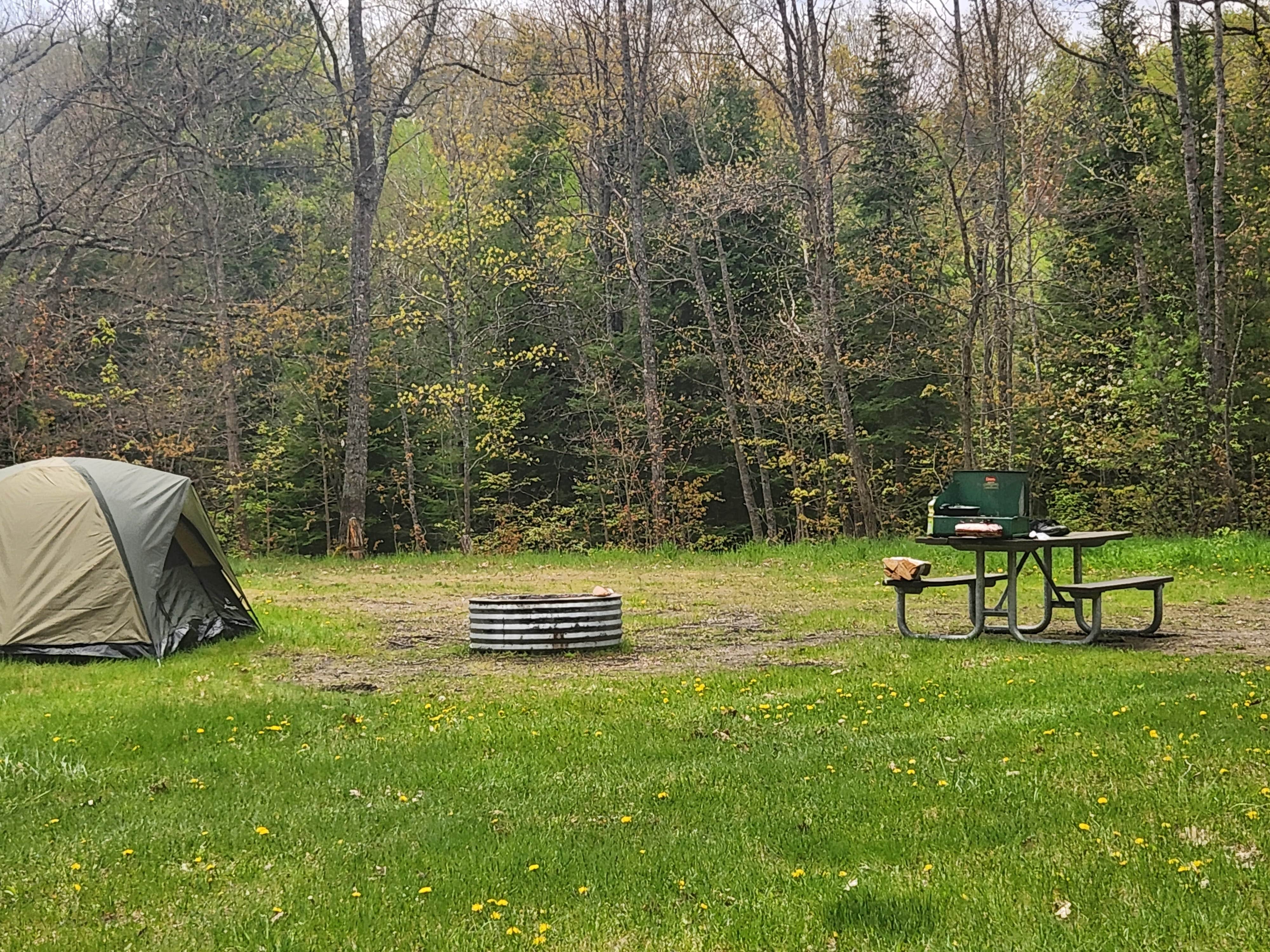 Camper submitted image from Jackson Lake State Forest Campground - 1