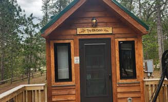 Lydia T.'s photo of glamping accommodations at Clear Lake State Park Campground near Millersburg, MI