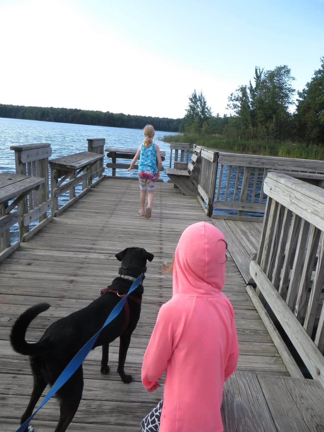 Kay K.'s photo of camping with pets at Colwell Lake Campground near Pictured Rocks National Park