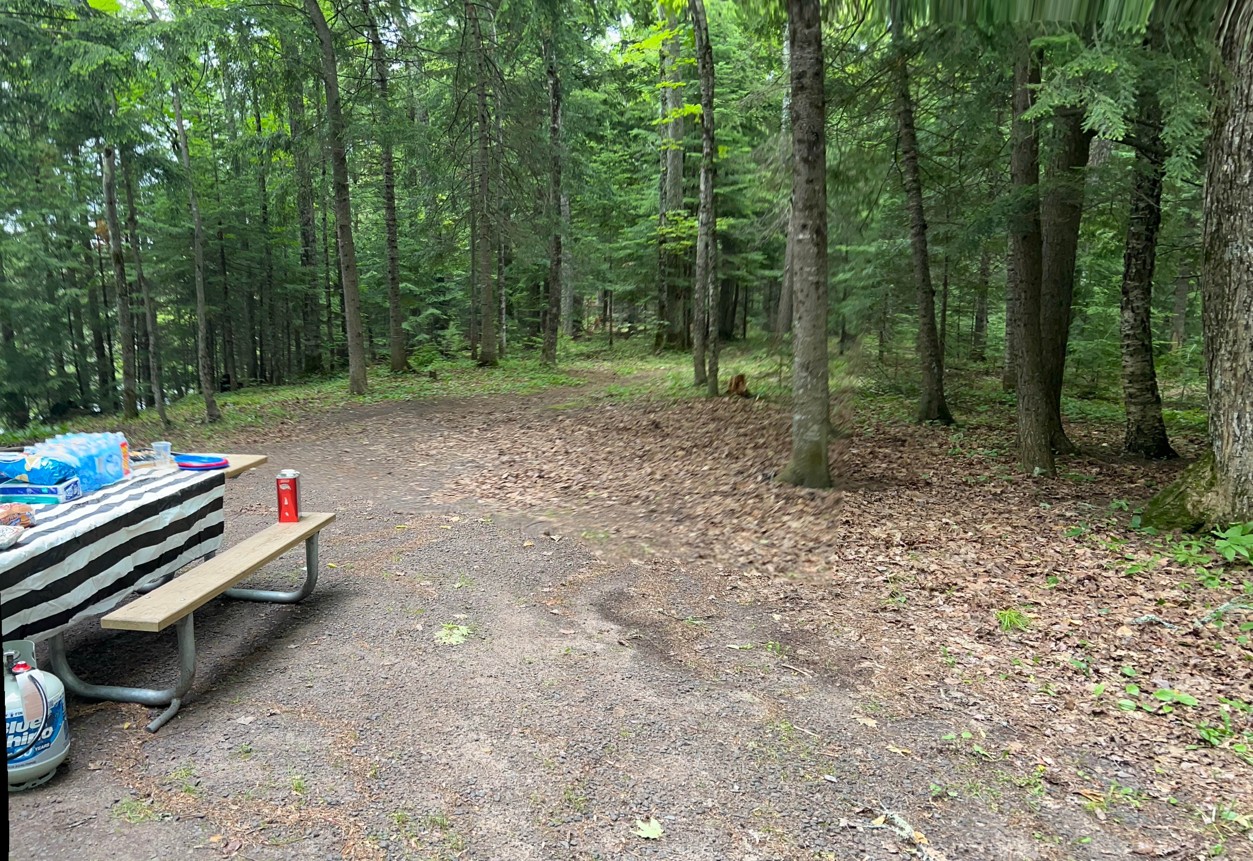 Camper-submitted photo at Courtney Lake Campground near Trout Creek, MI