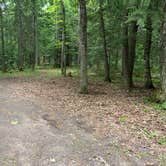 Review photo of Courtney Lake Campground by Robert G., July 15, 2024