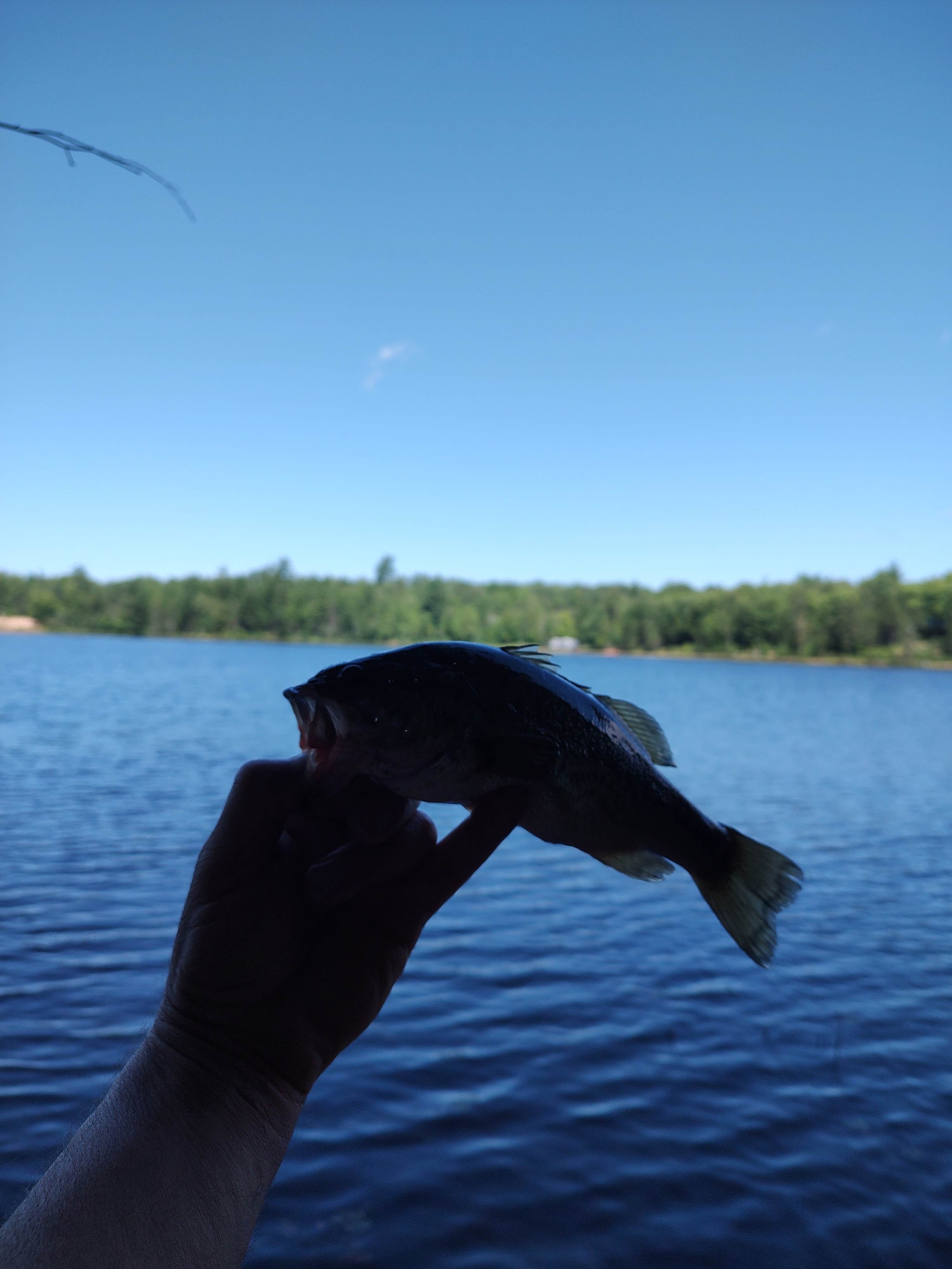 Camper-submitted photo at Courtney Lake Campground near Toivola, MI