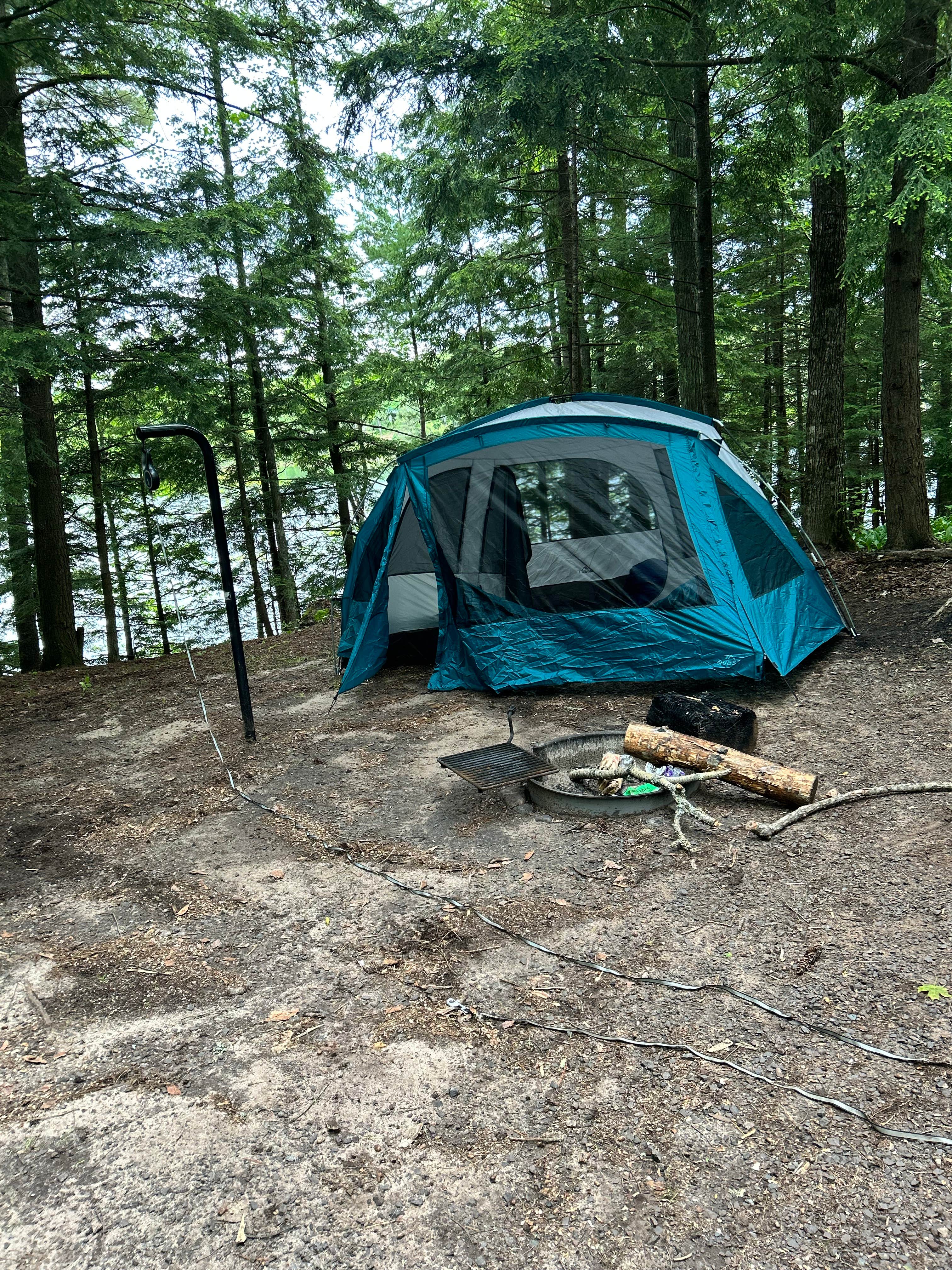 Camper submitted image from Courtney Lake Campground - 1