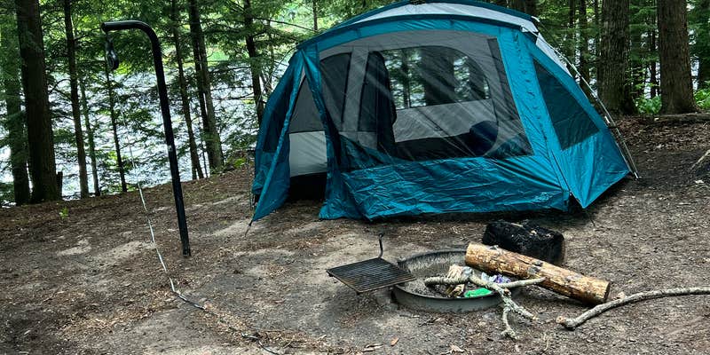 Camper submitted image from Courtney Lake Campground