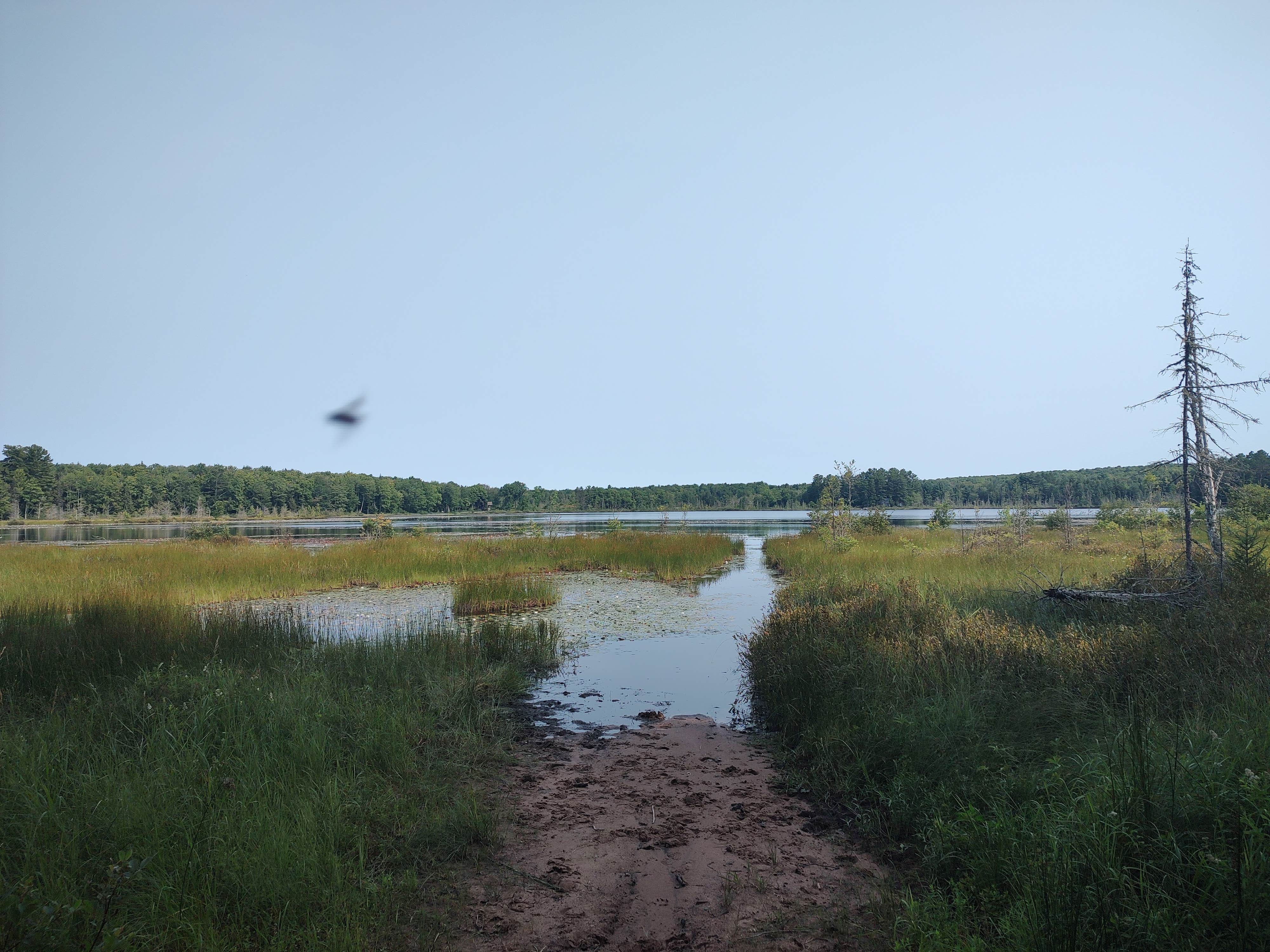 Camper-submitted photo at Courtney Lake Campground near Toivola, MI