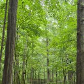 Review photo of Diamond Point Campground by Lucille B., September 29, 2026