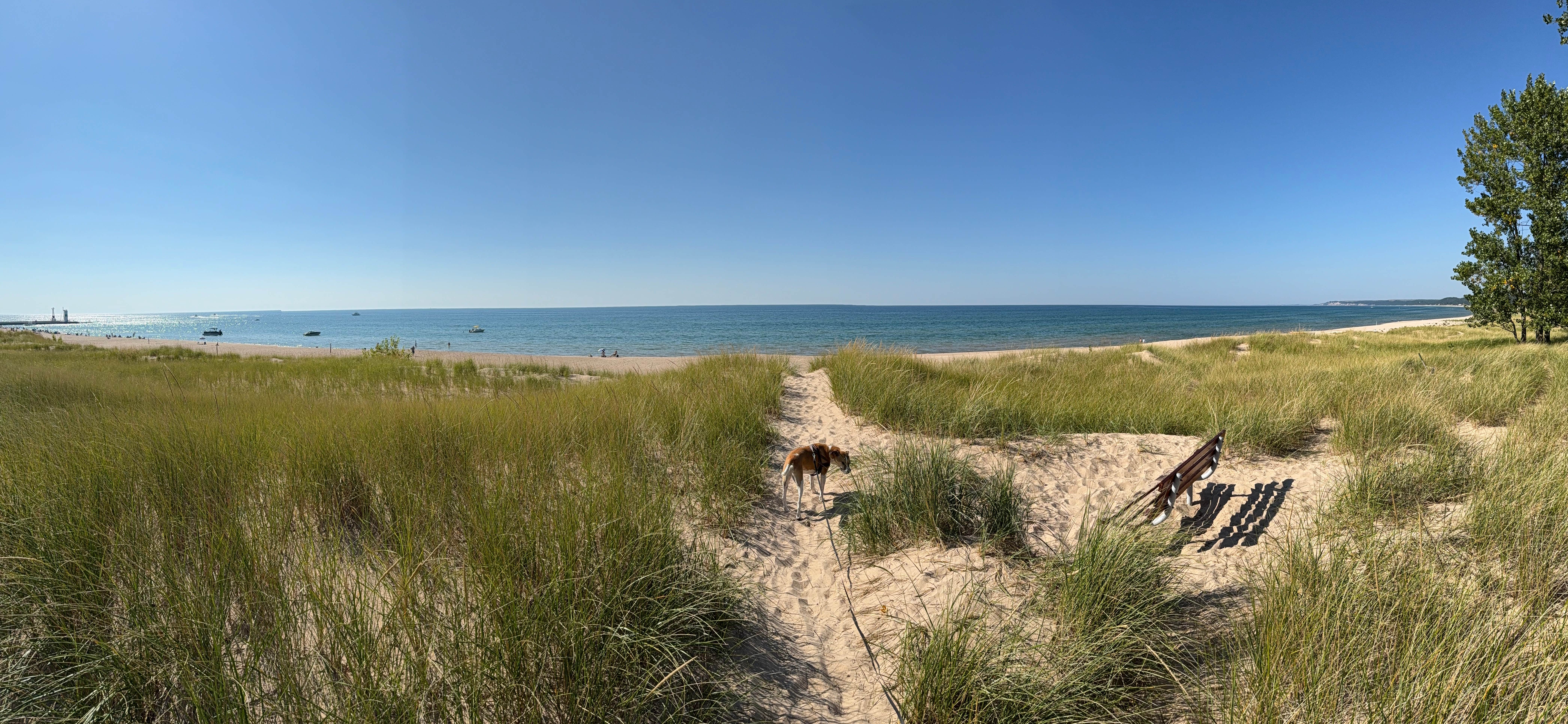 Hank G.'s photo of camping with pets at Mears State Park Campground near Pentwater, MI