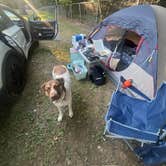 Review photo of Eaton County Fairgrounds by Robert S., August 1, 2026