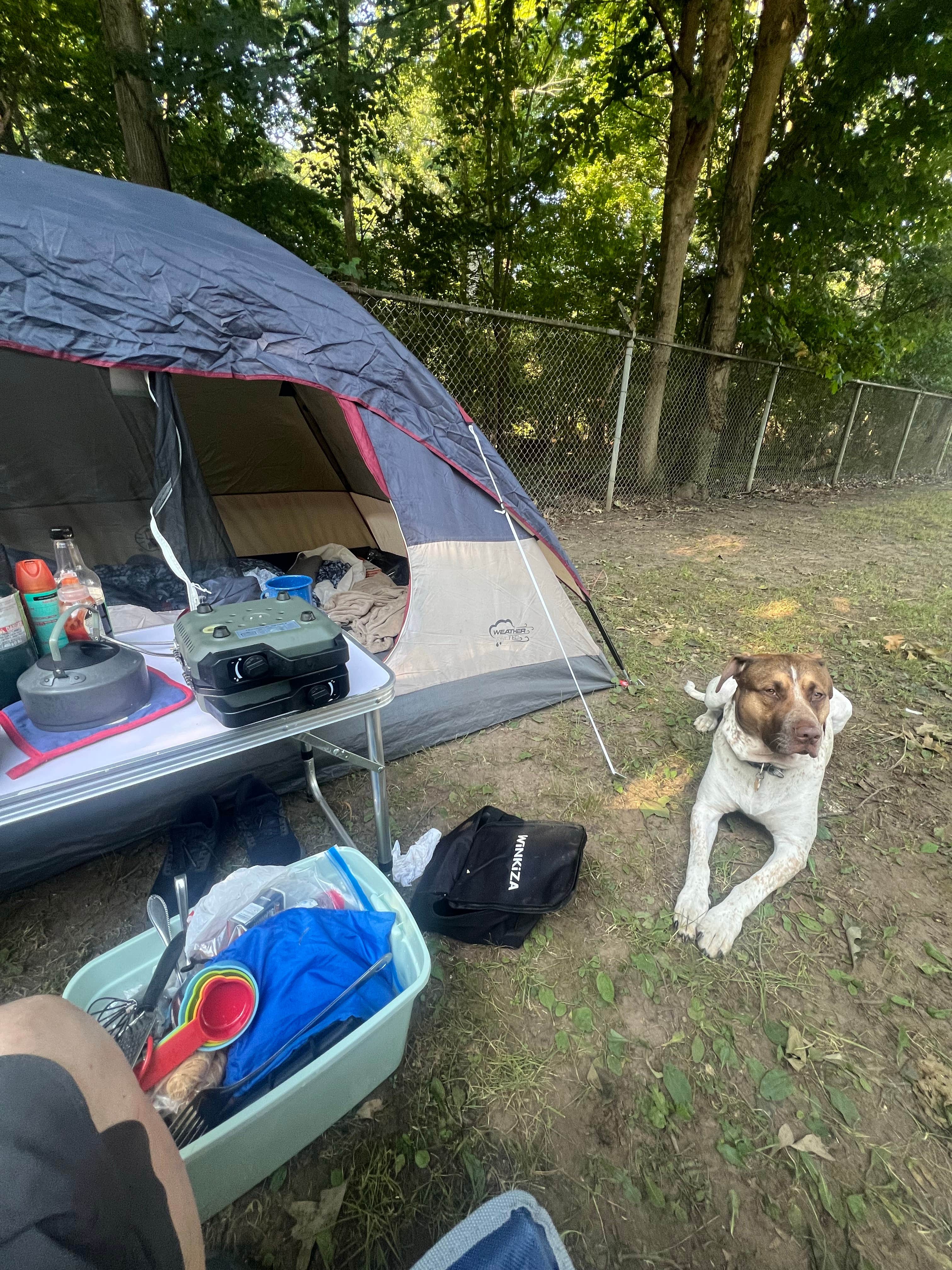 Camping near Camp Turkeyville RV Resort: Eaton County Fairgrounds, Charlotte, Michigan