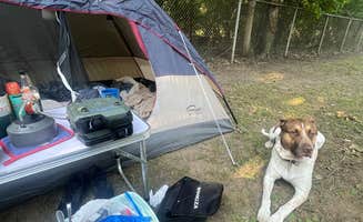 Robert S.'s photo of camping with pets at Eaton County Fairgrounds near Mason, MI