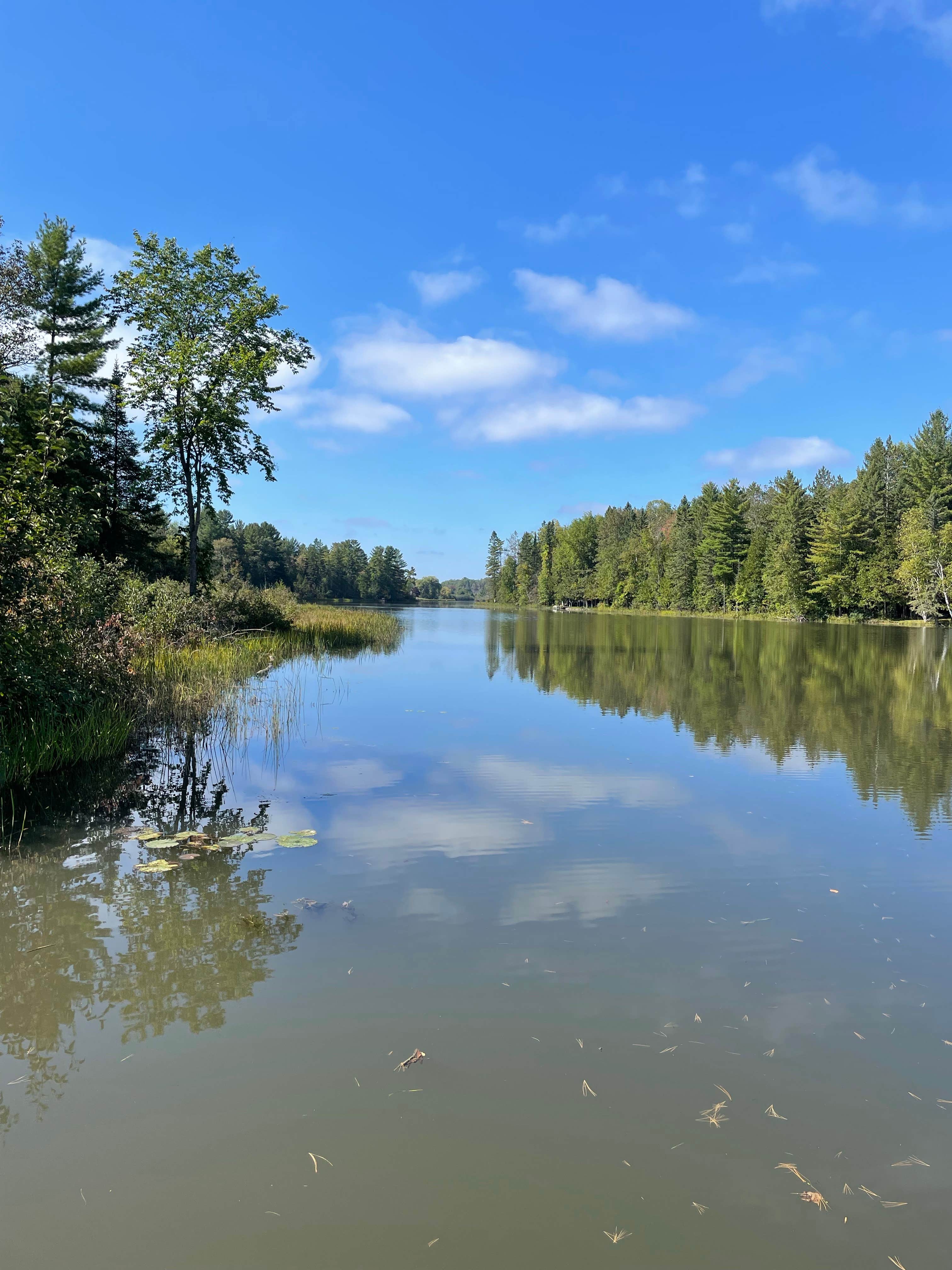 Camper-submitted photo at Emerick Park Campground near Atlanta, MI