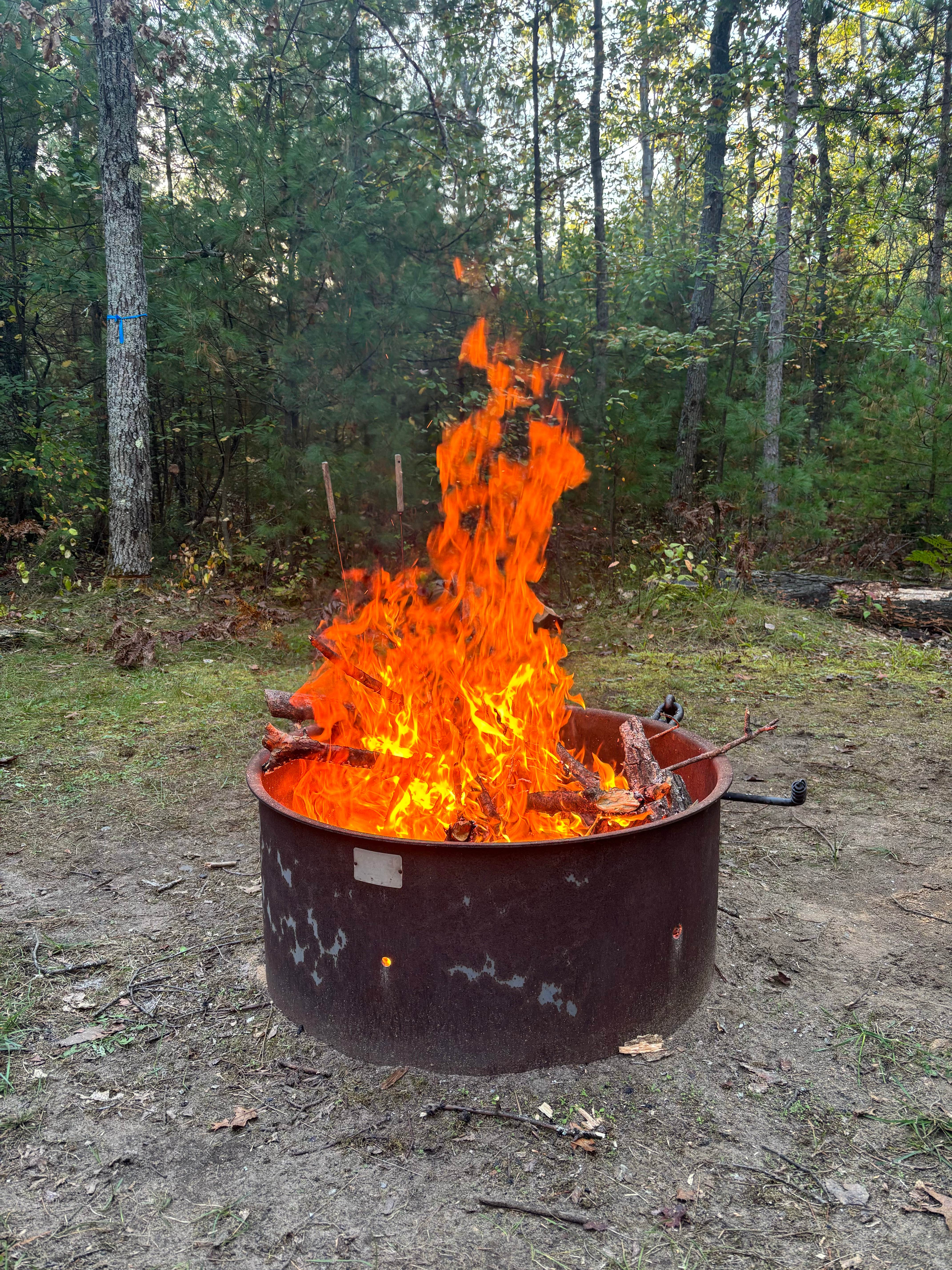 Camping near Hoeft State Park Campground: Mackinaw/Ess Lake, Atlanta, Michigan