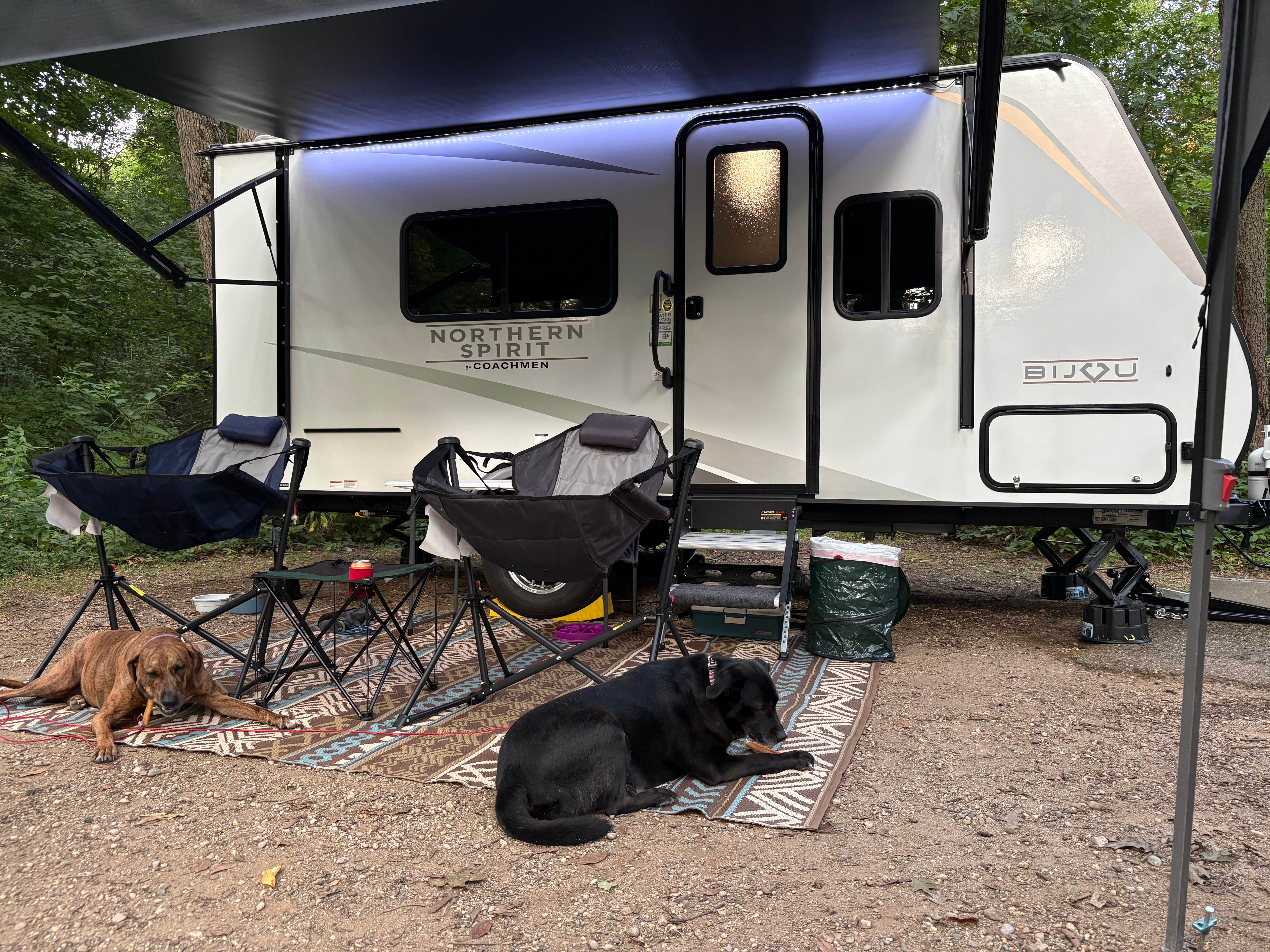 Bob B.'s photo of camping with pets at Fort Custer Recreation Area near Kalamazoo, MI