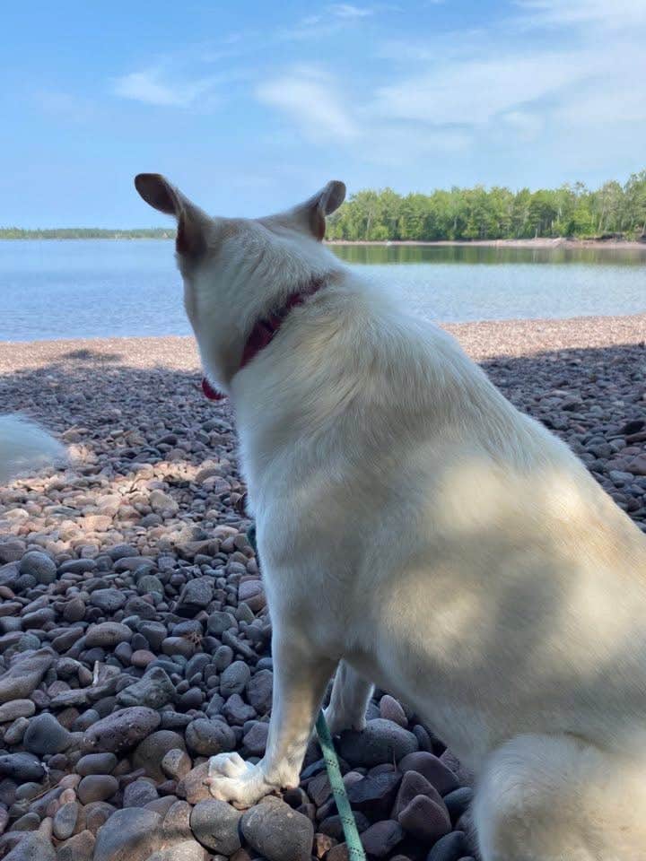 Kay K.'s photo of camping with pets at Fort Wilkins Historic State Park — Fort Wilkins State Historic Park in Michigan