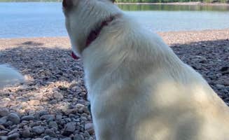 Kay K.'s photo of camping with pets at Fort Wilkins Historic State Park — Fort Wilkins State Historic Park near Copper Harbor, MI