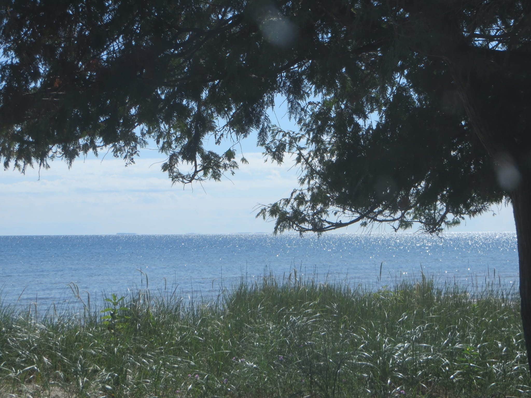 Camper-submitted photo at Fox County Park Campground near Stephenson, MI
