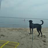 Review photo of Fox County Park Campground by Kay K., August 24, 2025