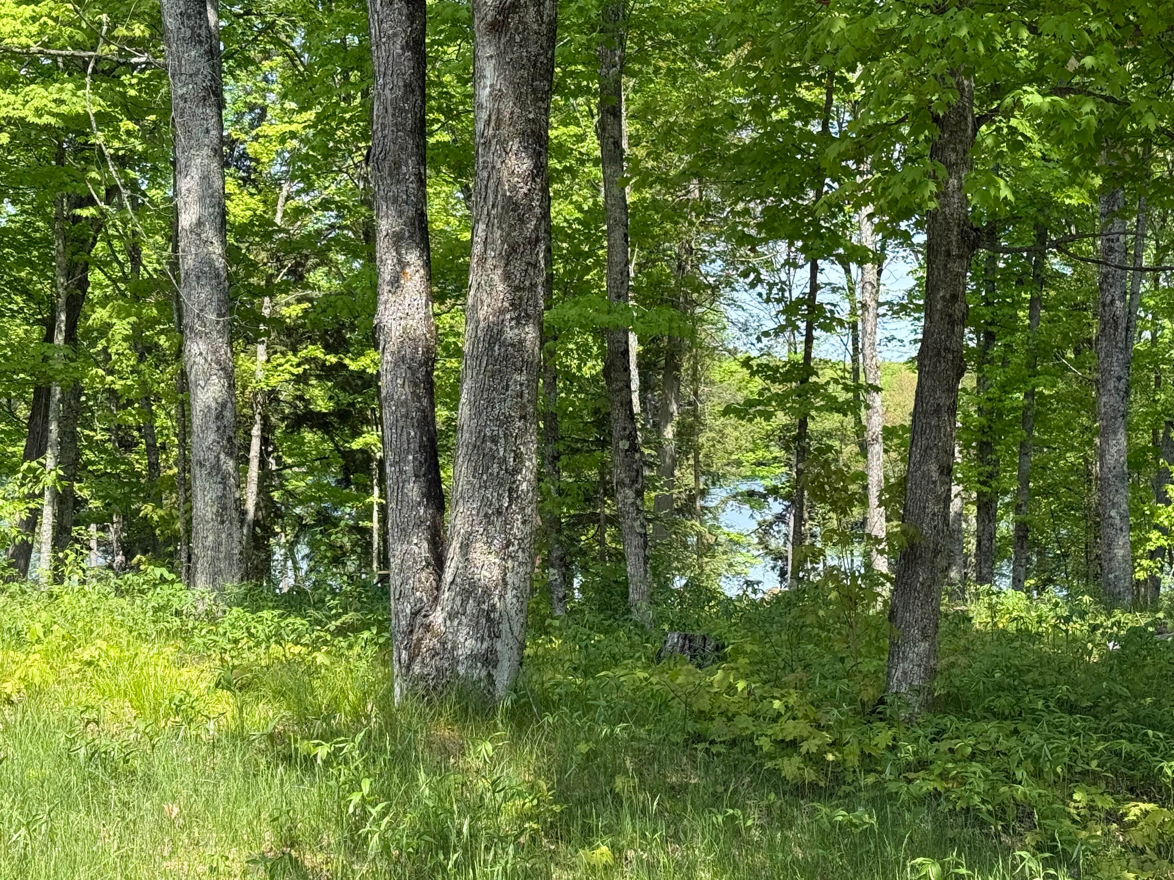 Camper-submitted photo at Golden Lake Campground near Iron River, MI