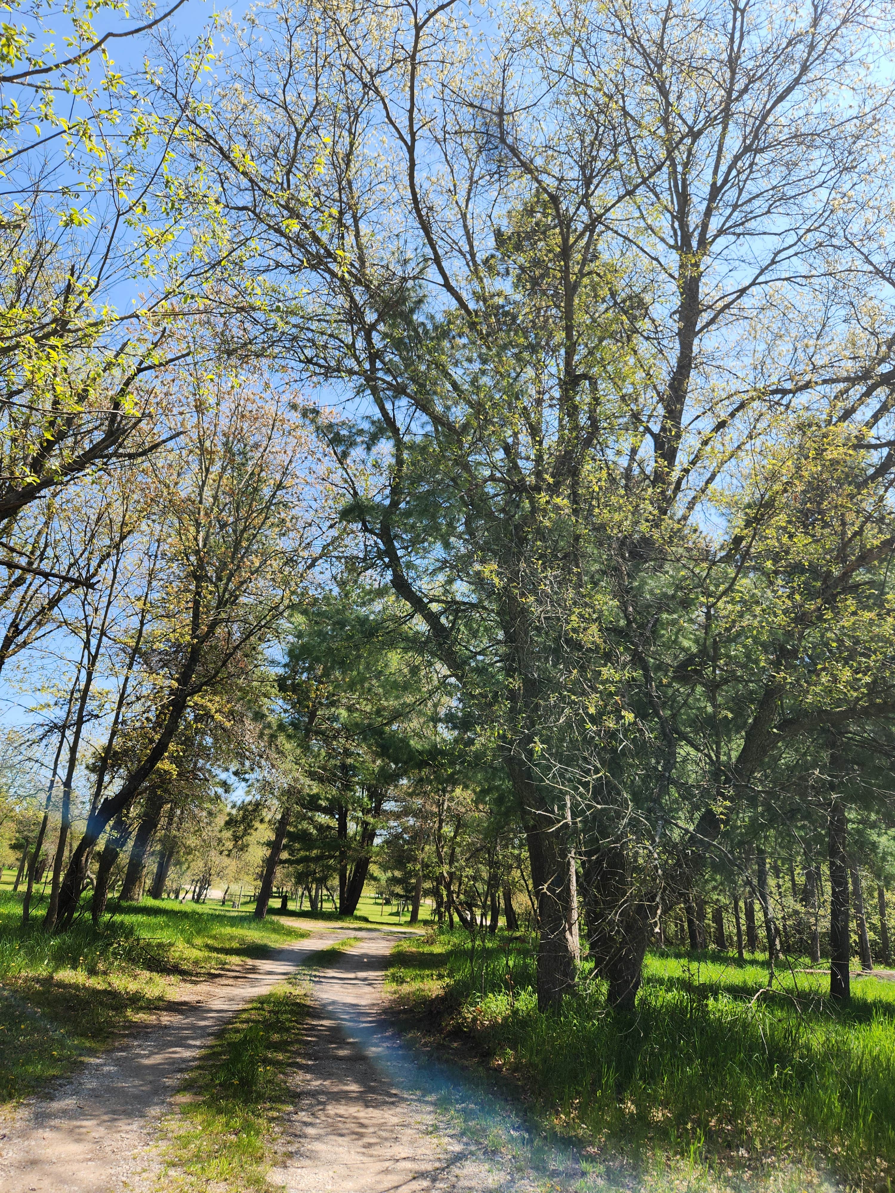 Camper-submitted photo at Goose Creek Trail Camp near Charlevoix, MI