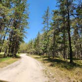 Review photo of Goose Creek Trail Camp by Lydia T., May 21, 2024